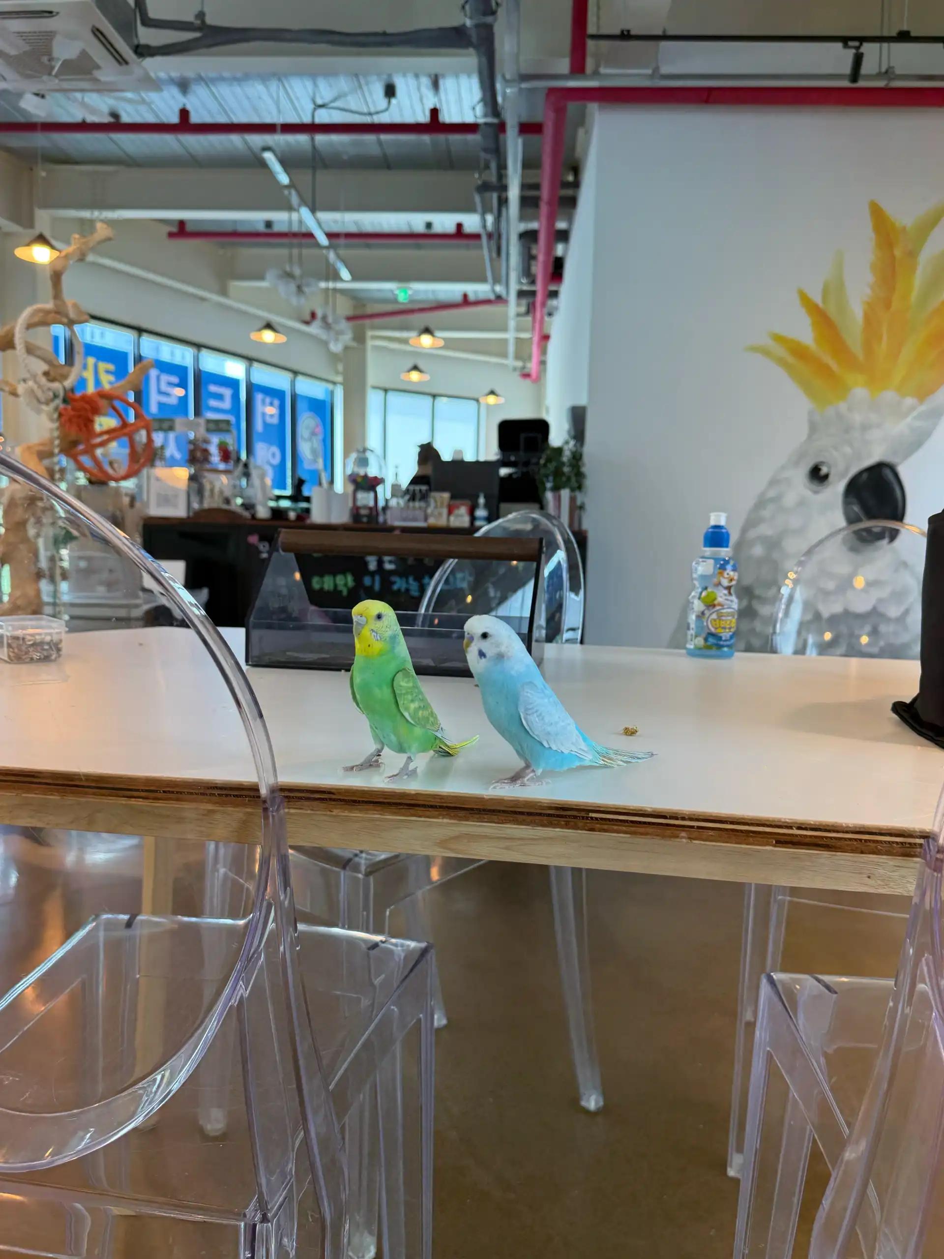 크루톡 이미지 8