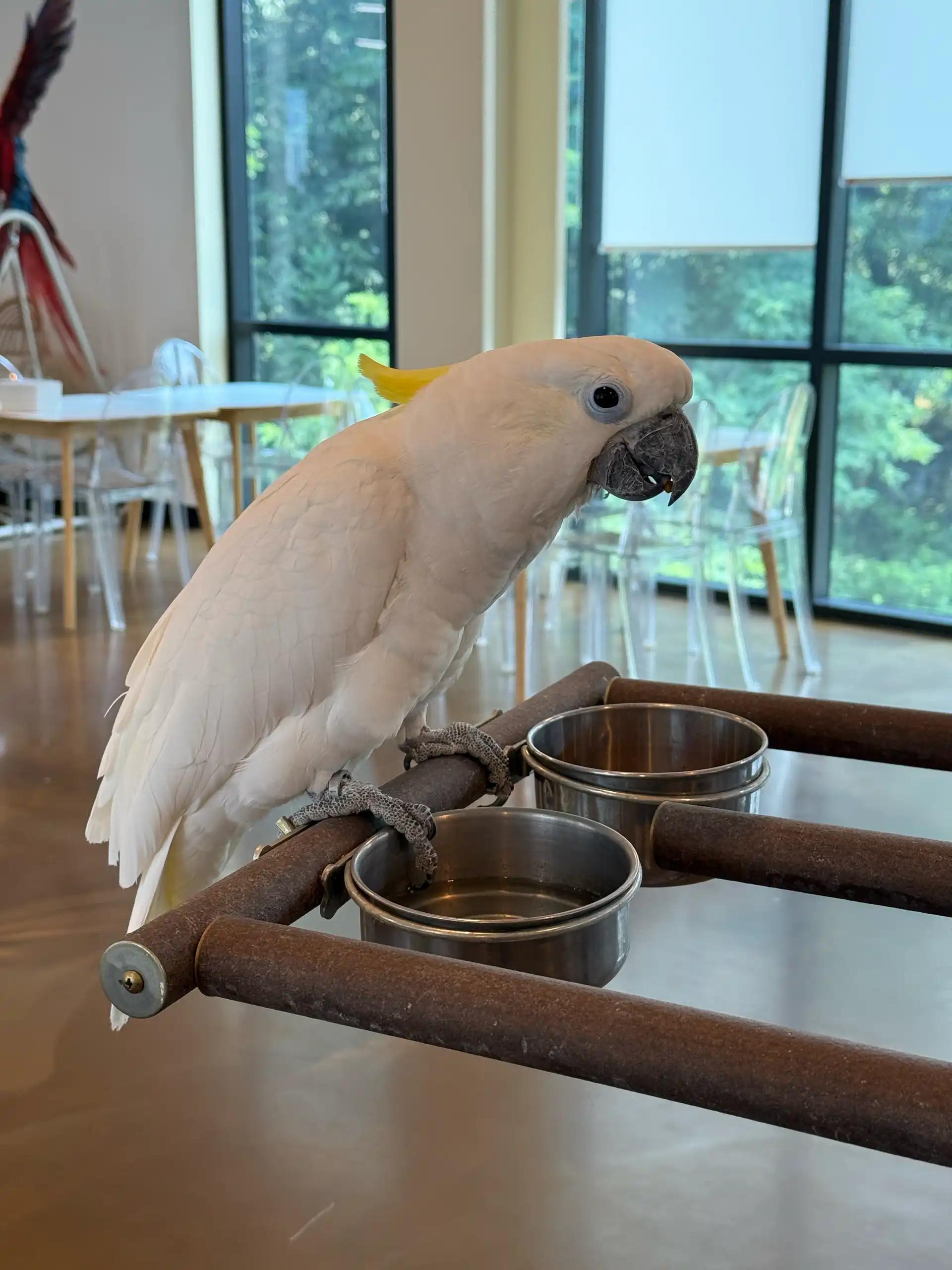 크루톡 이미지 9