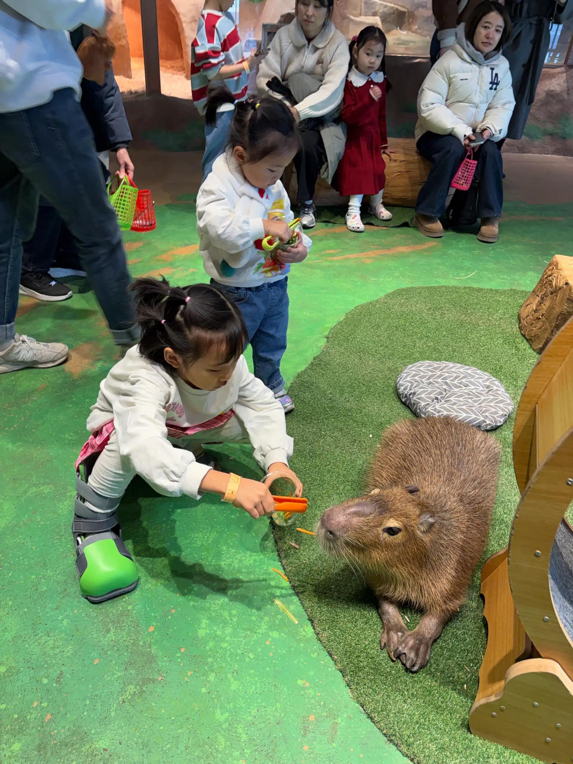 크루톡 이미지 1