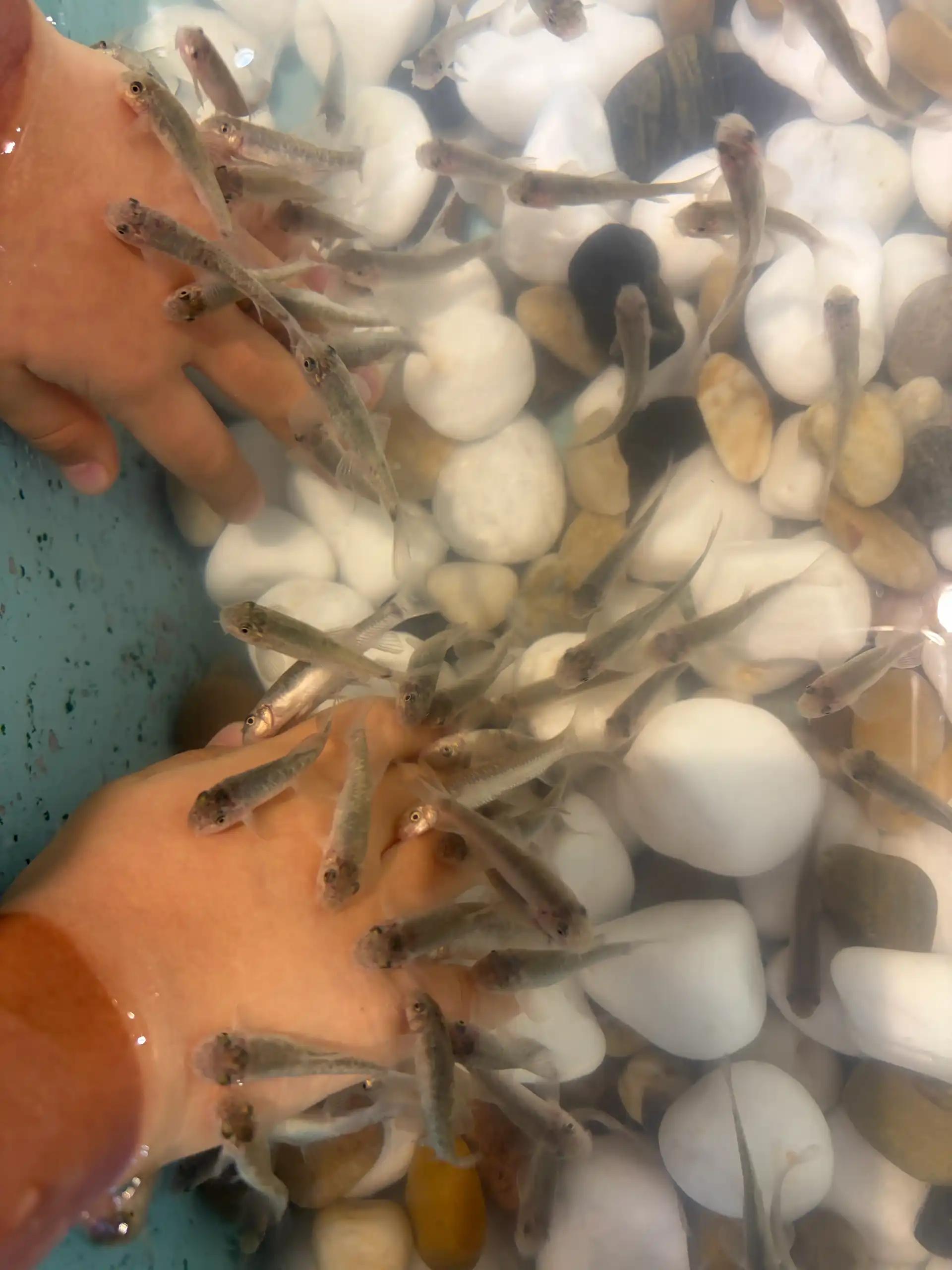 크루톡 이미지 3