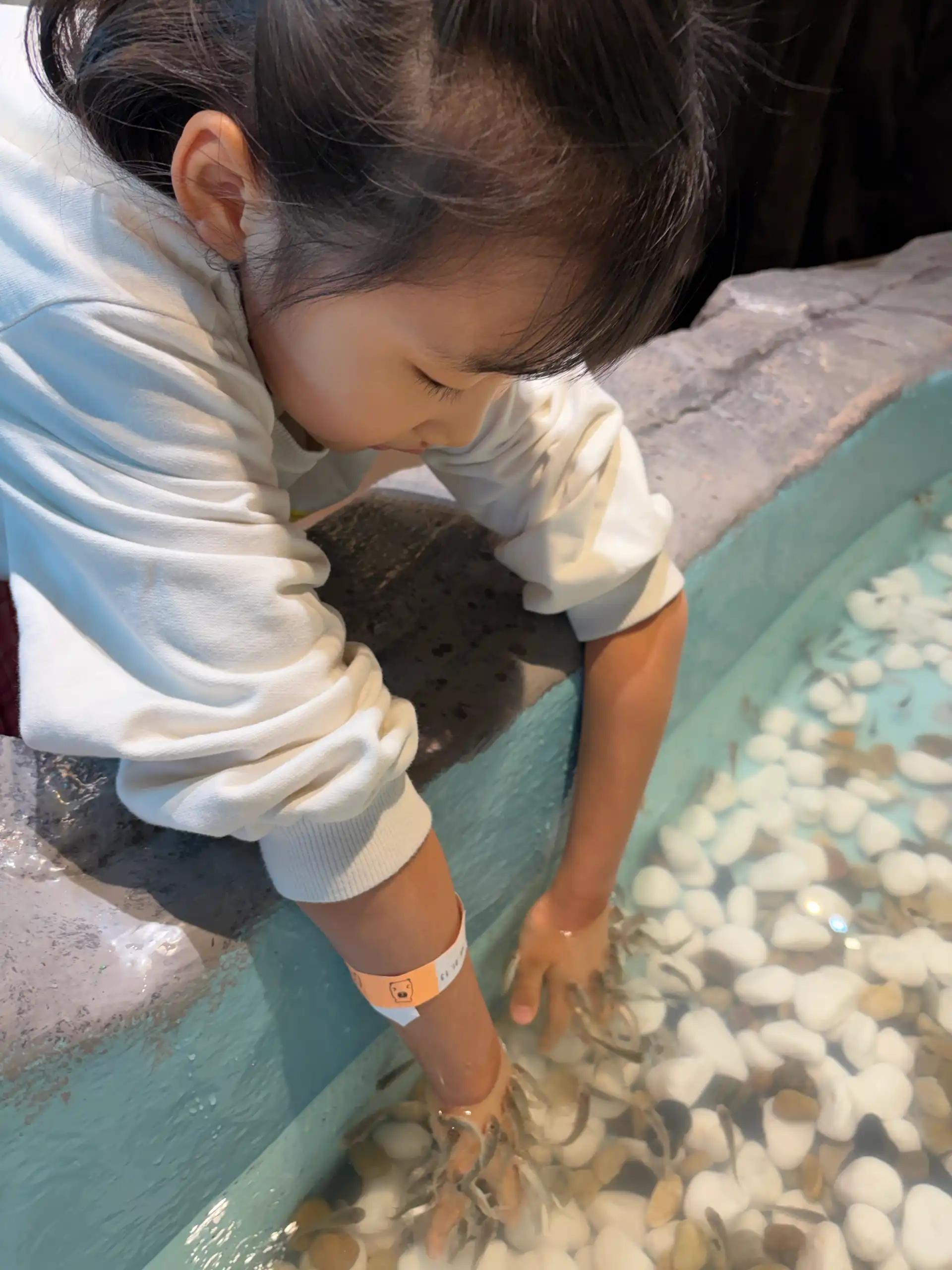 크루톡 이미지 4