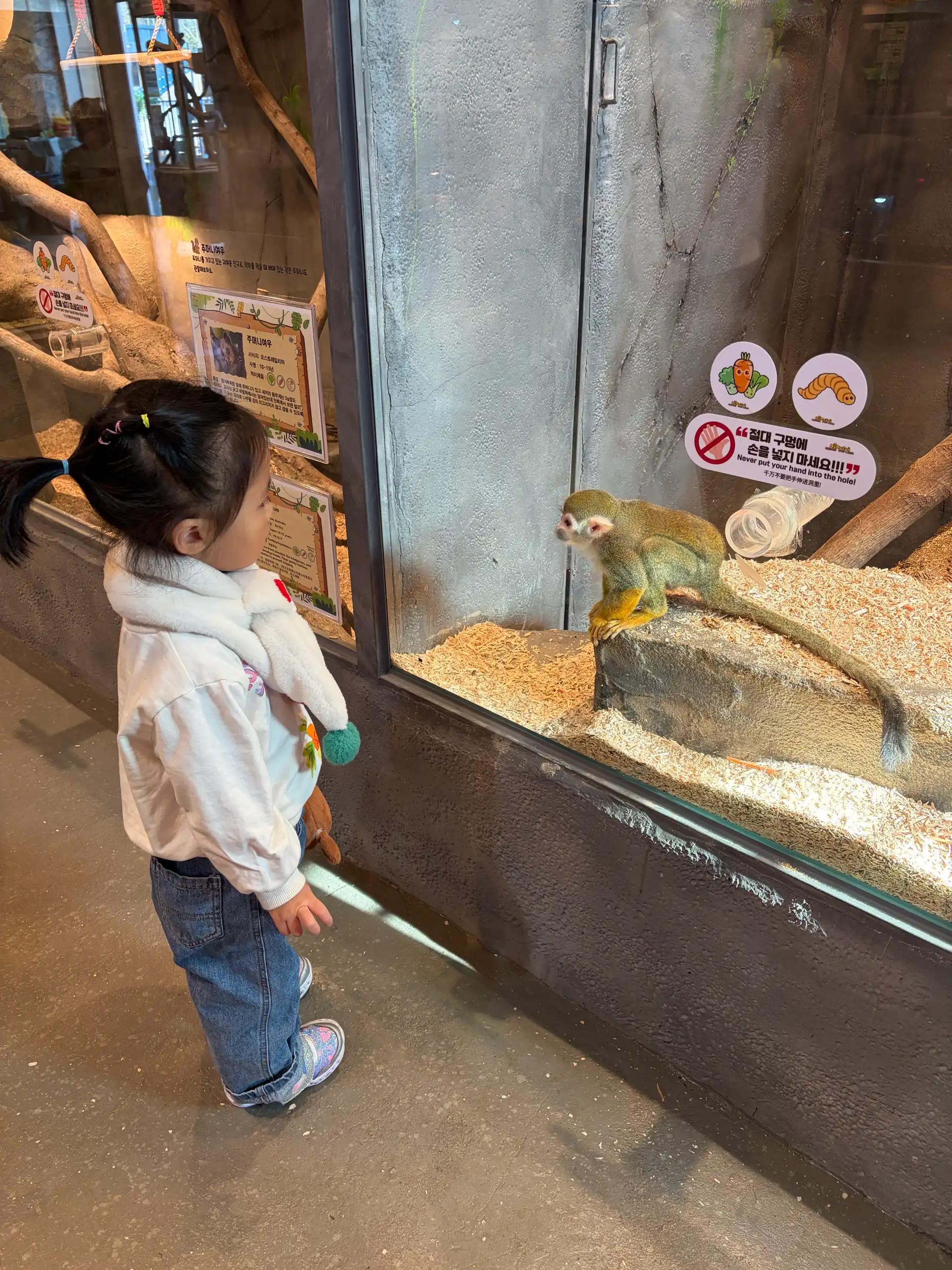 크루톡 이미지 5