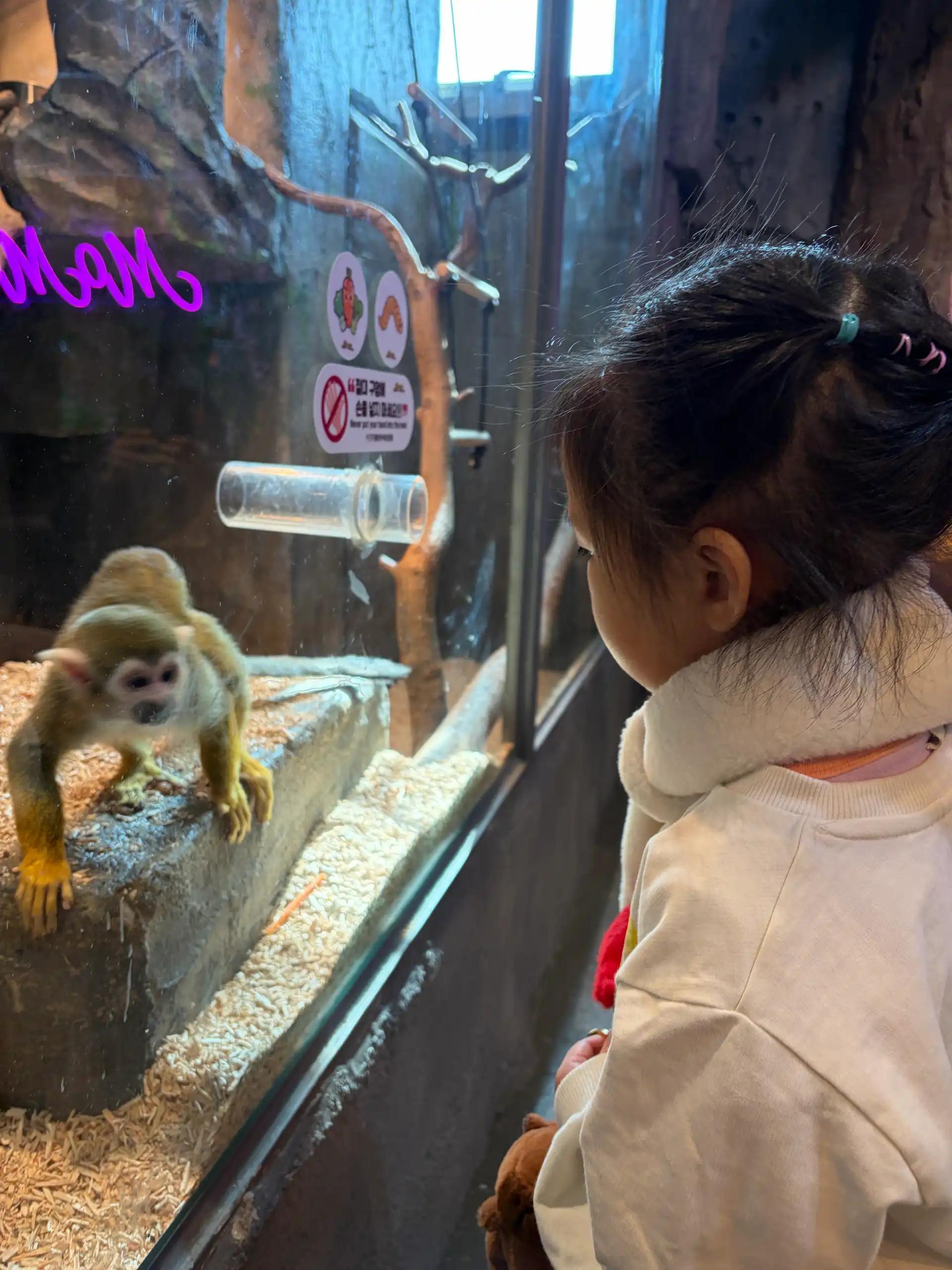 크루톡 이미지 6