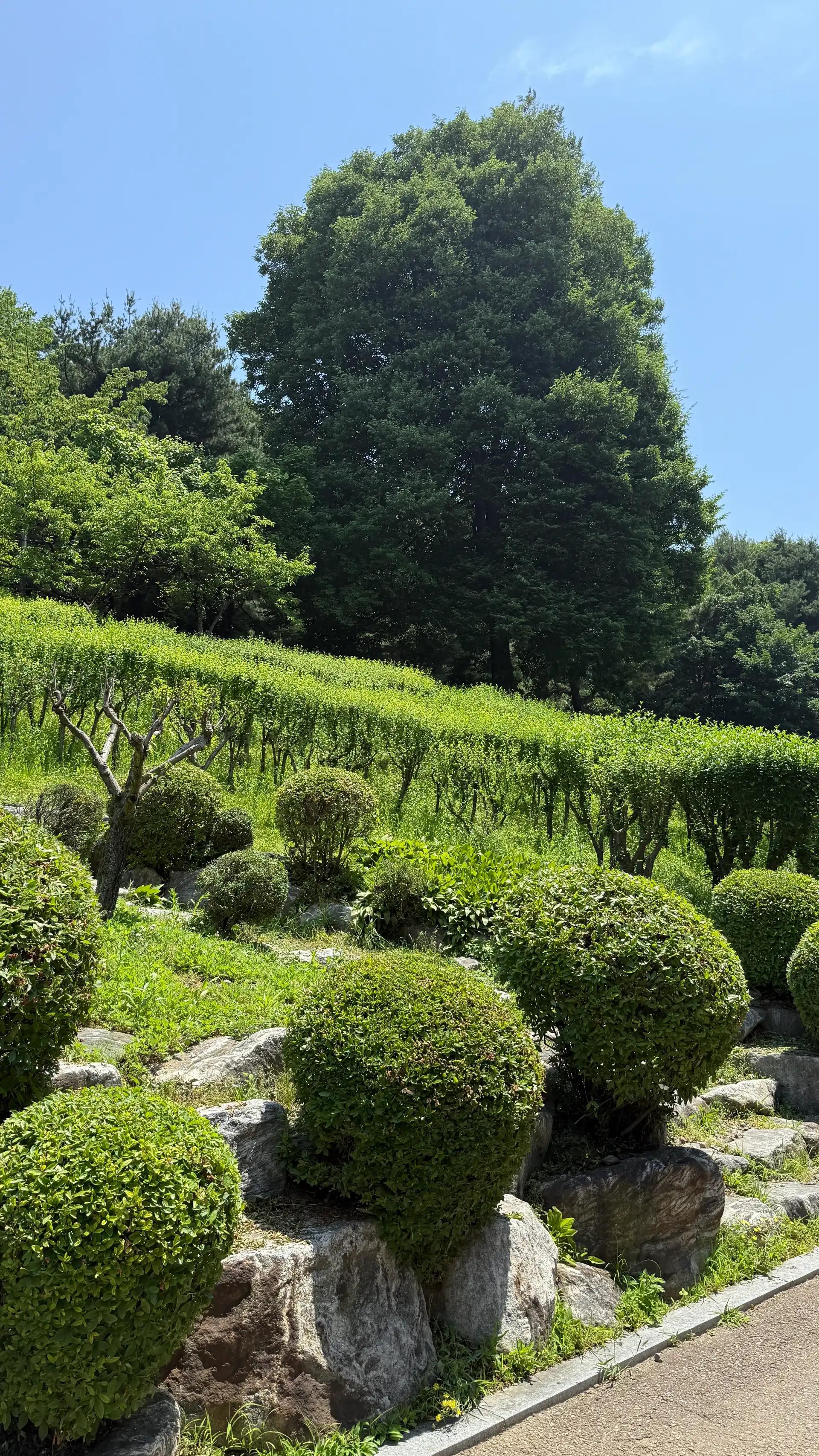 크루톡 이미지 2