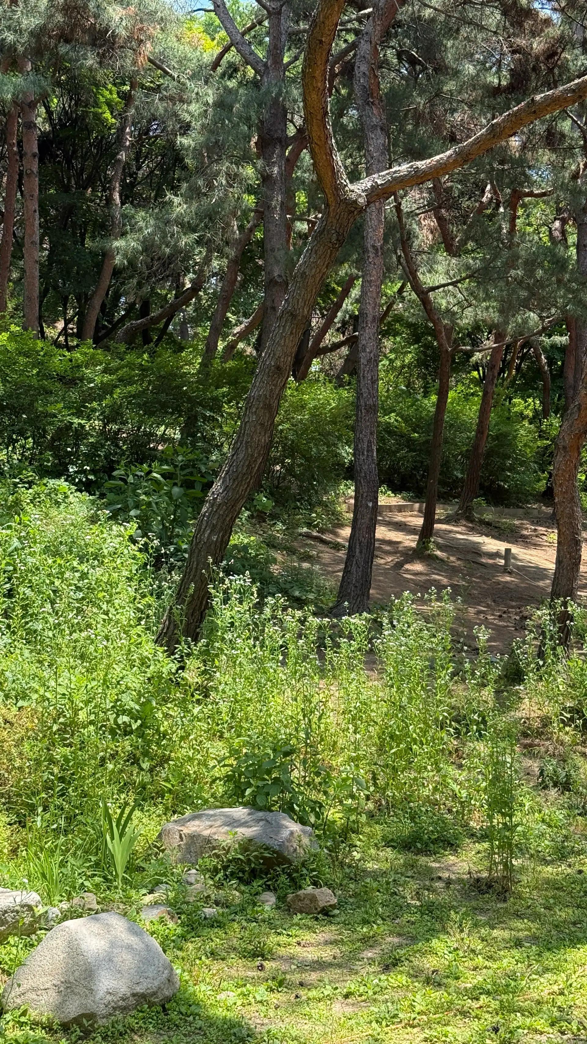 크루톡 이미지 5