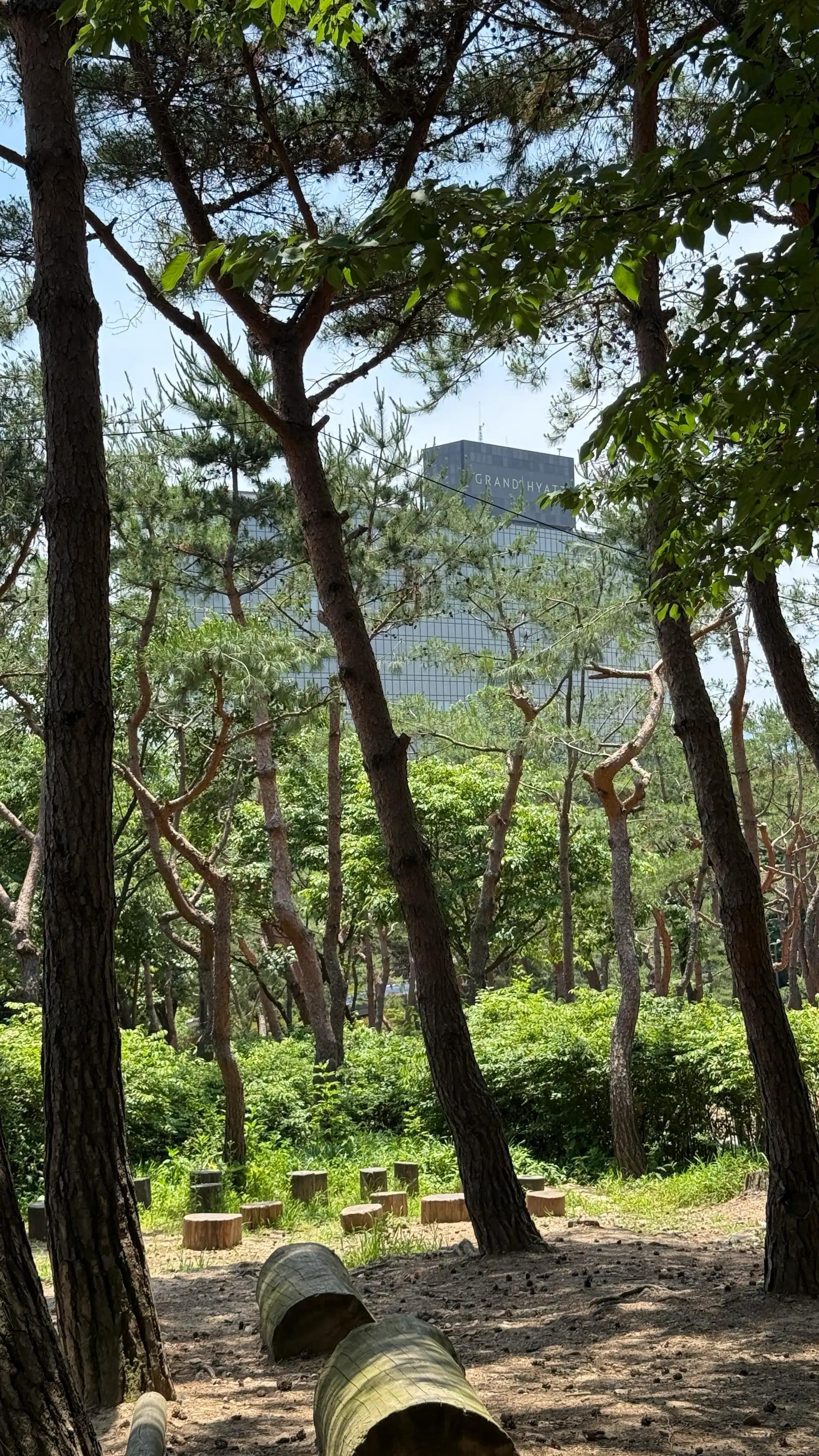 크루톡 이미지 7