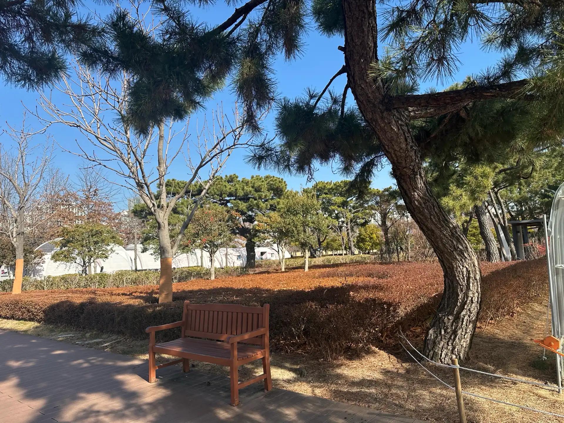 크루톡 이미지 4