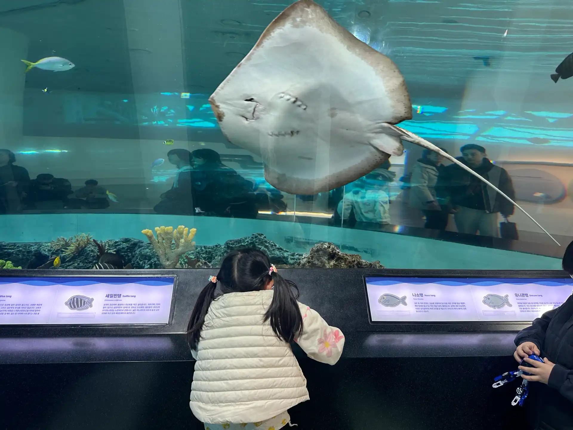 크루톡 이미지 3