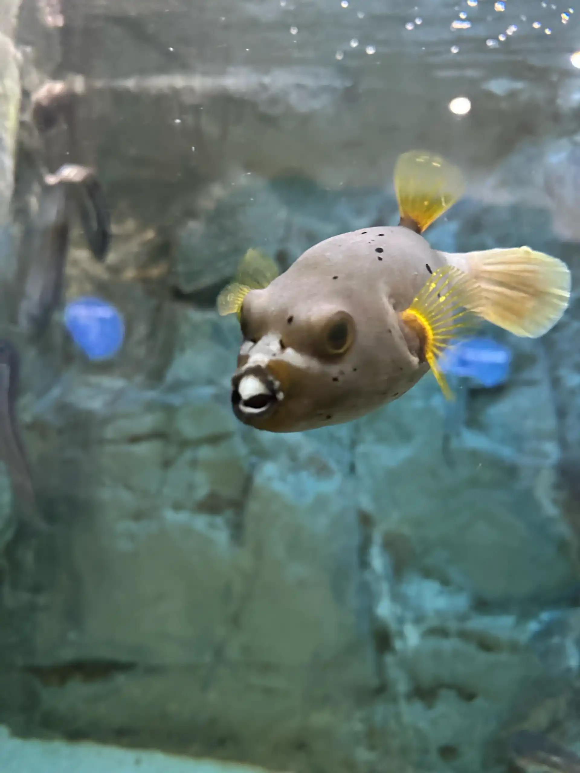 크루톡 이미지 4