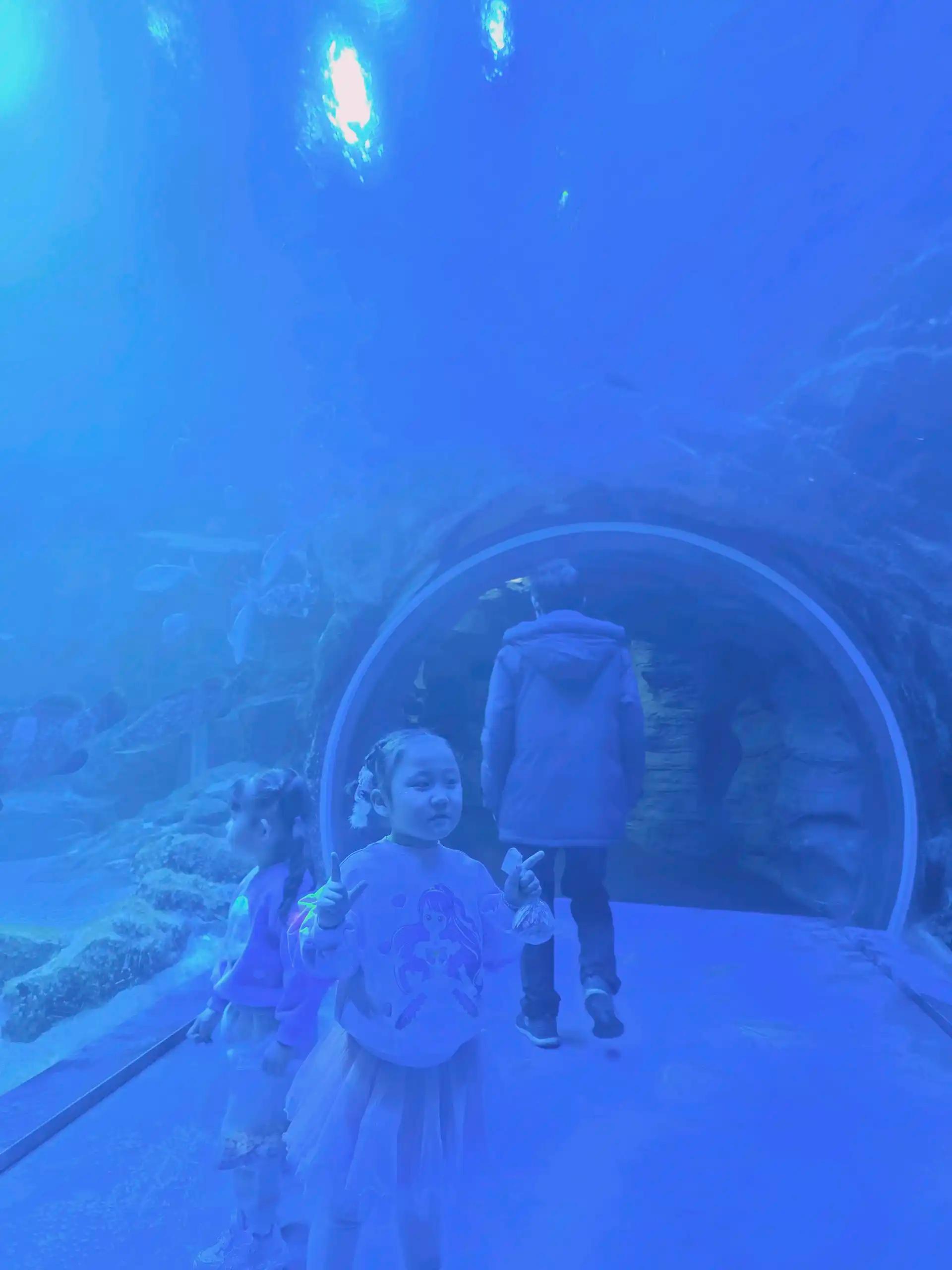 크루톡 이미지 2