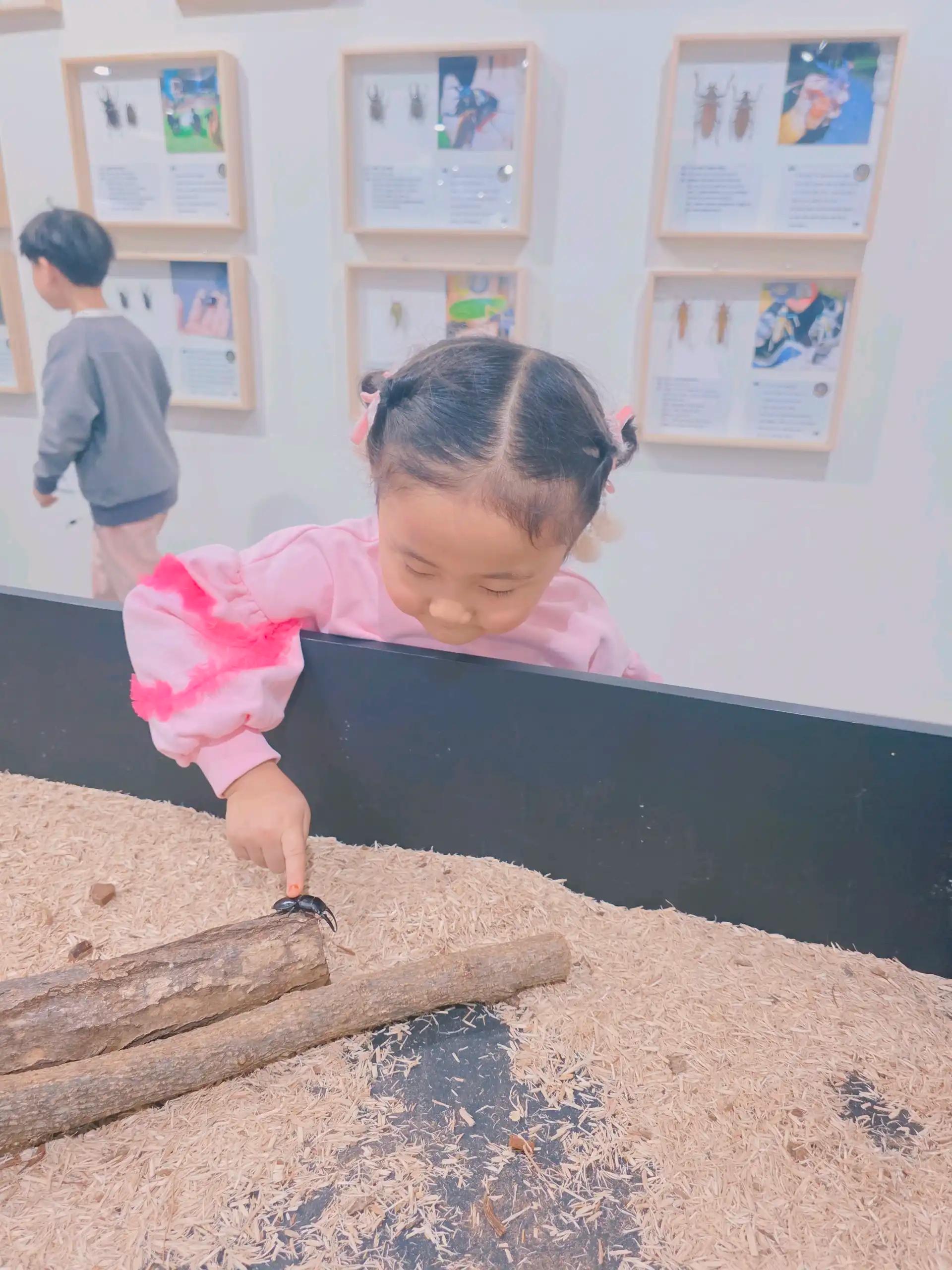 크루톡 이미지 8