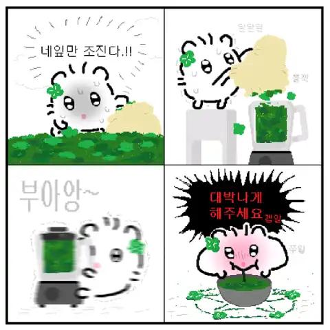 크루톡 이미지 6