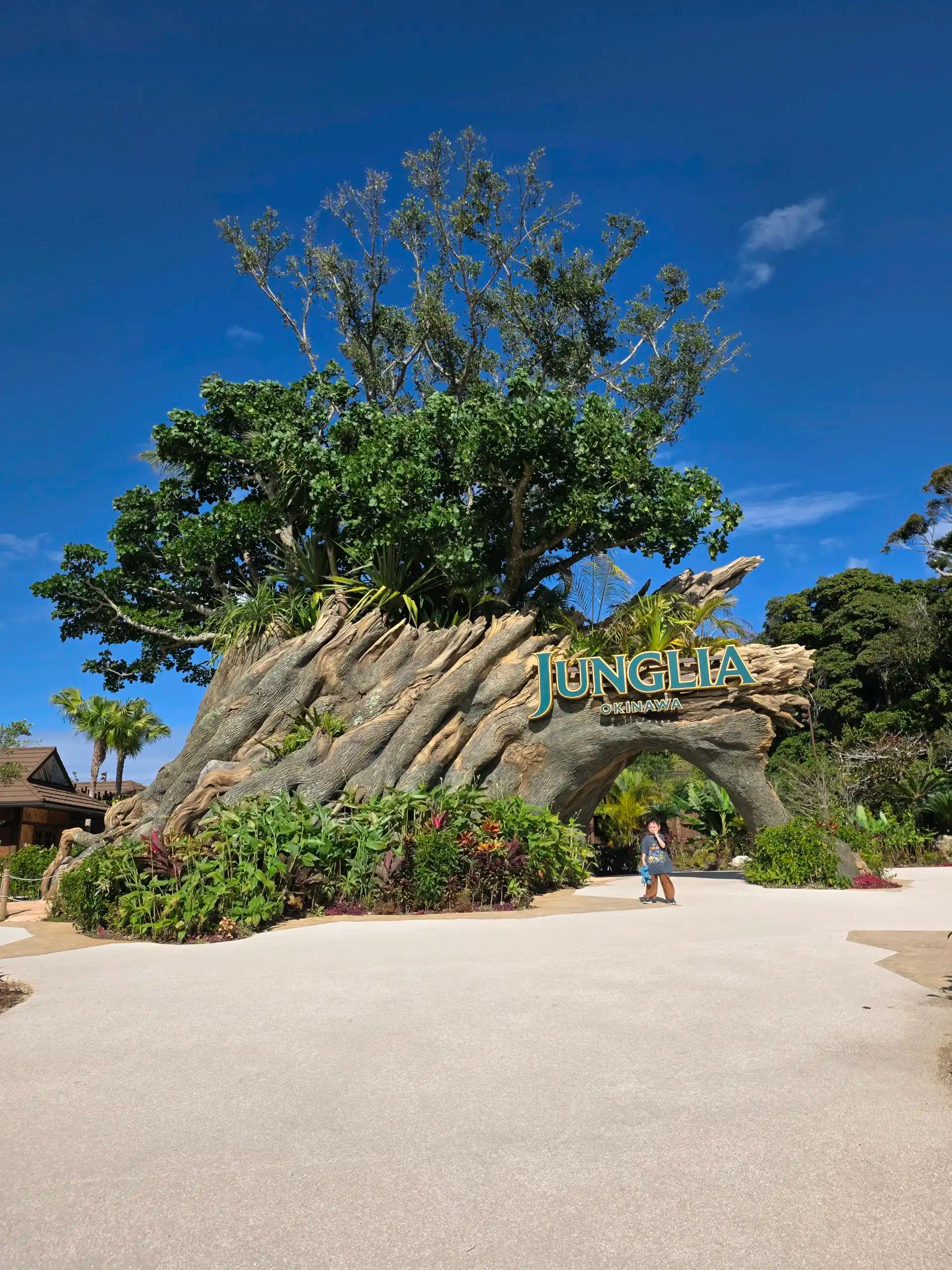 크루톡 이미지 4