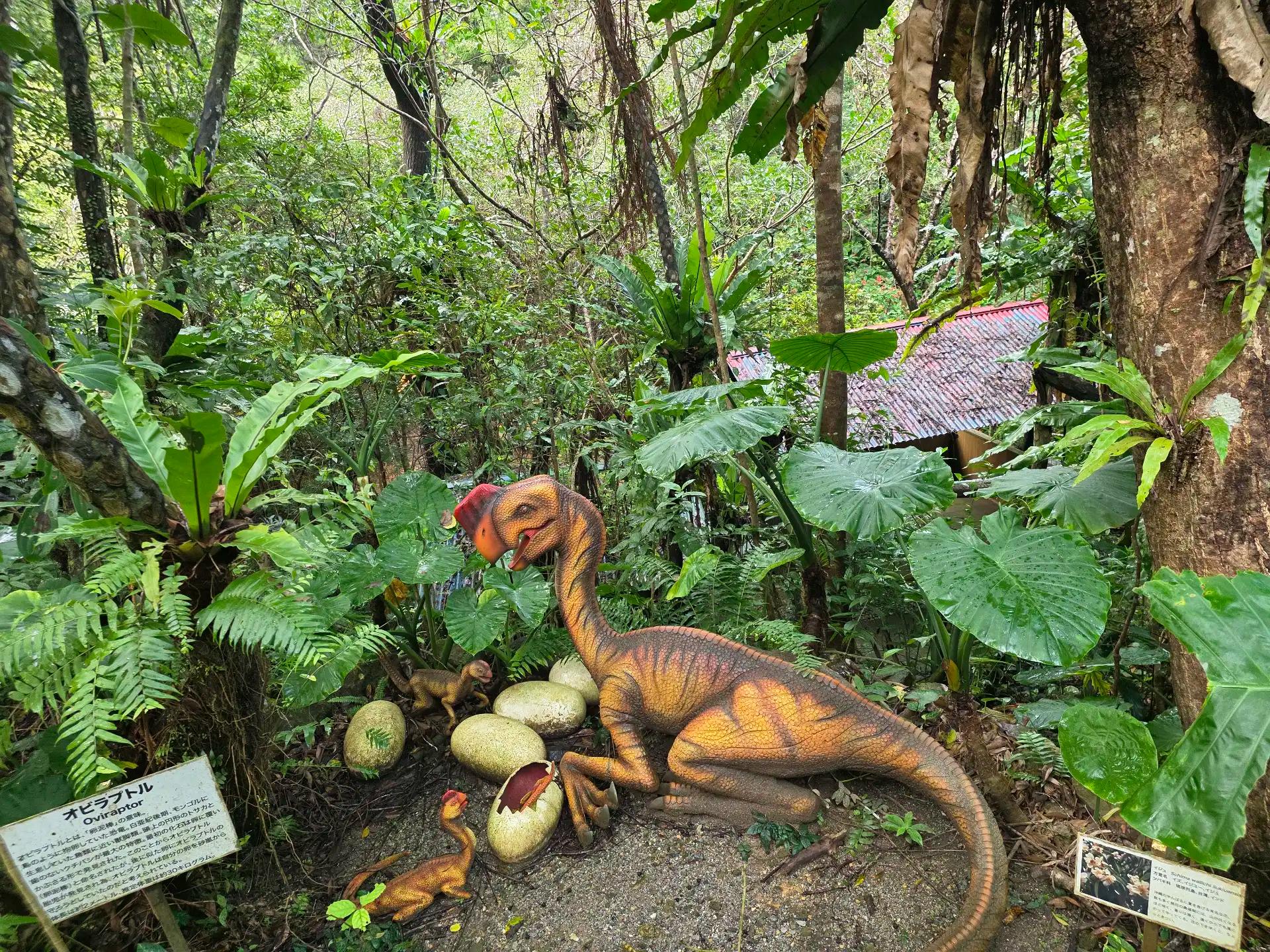 크루톡 이미지 5