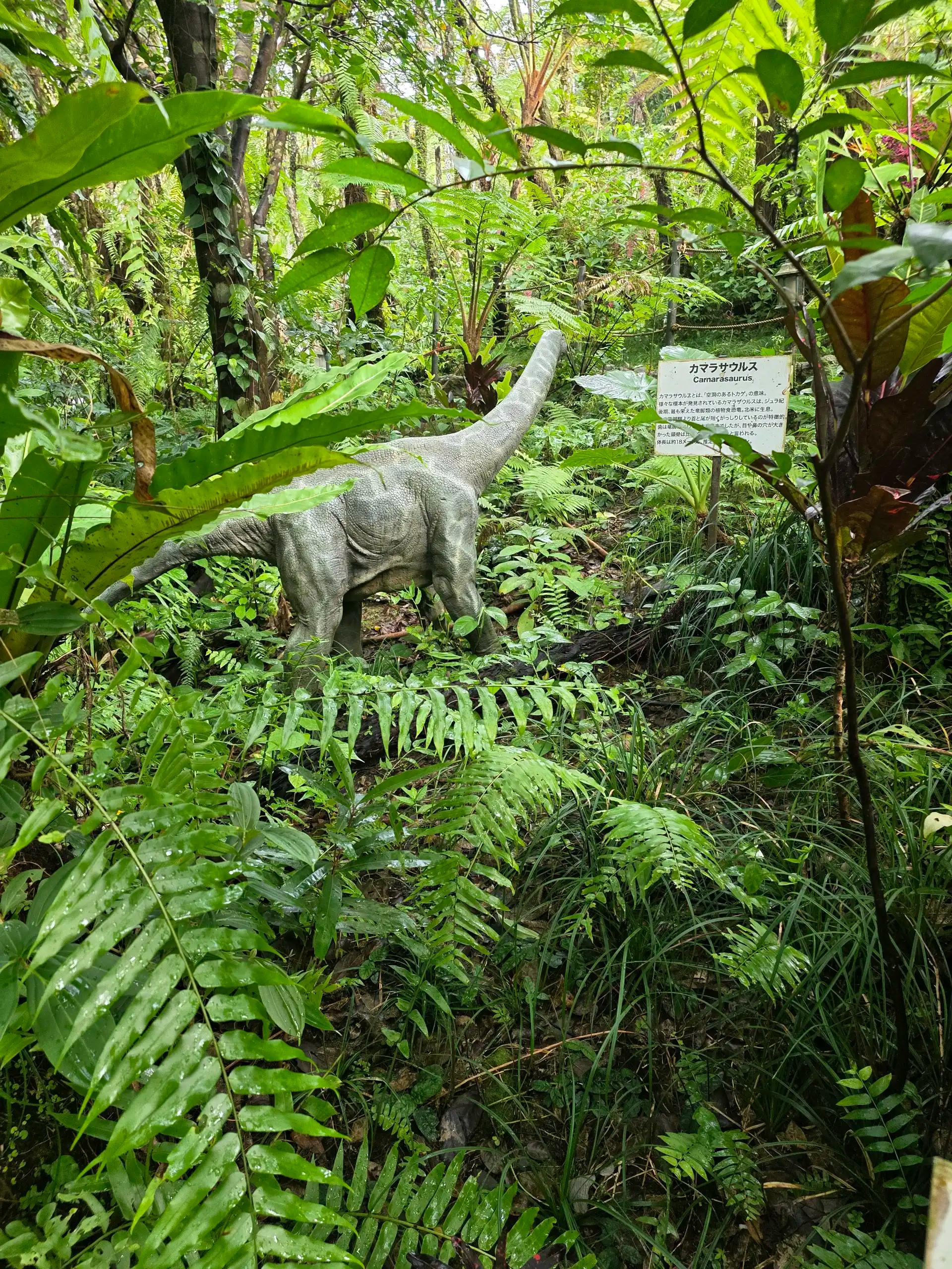 크루톡 이미지 7