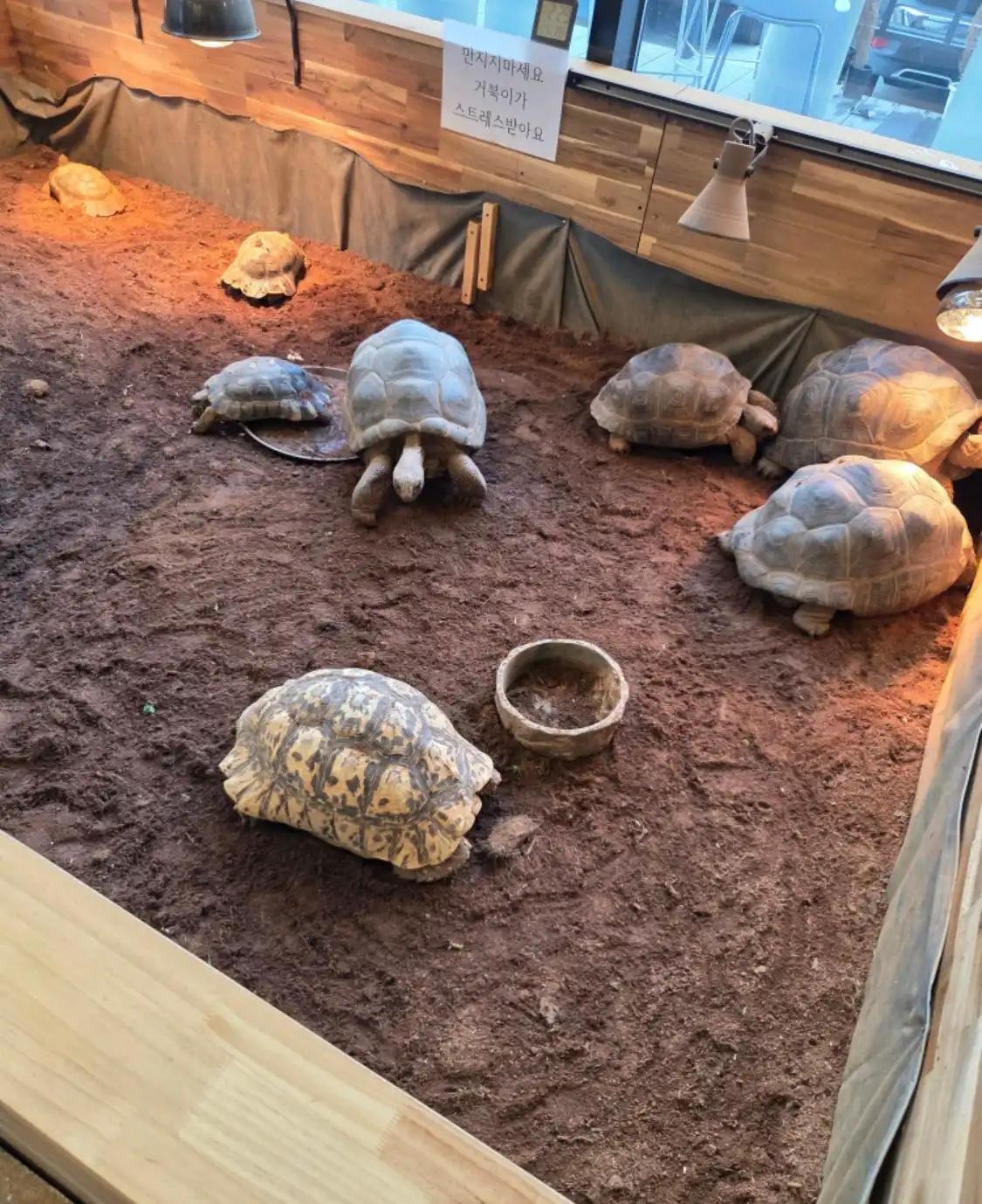 크루톡 이미지 2