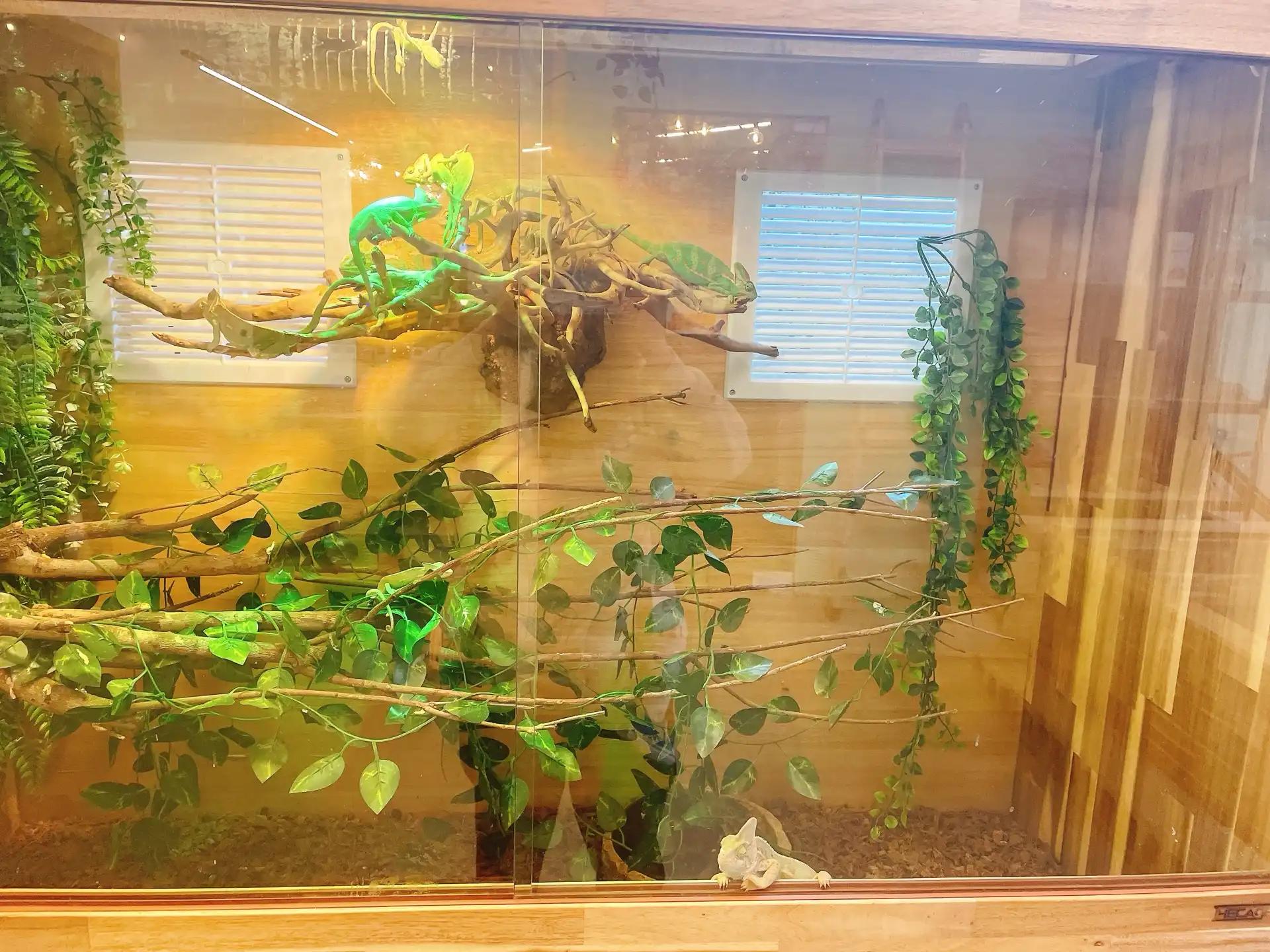 크루톡 이미지 3