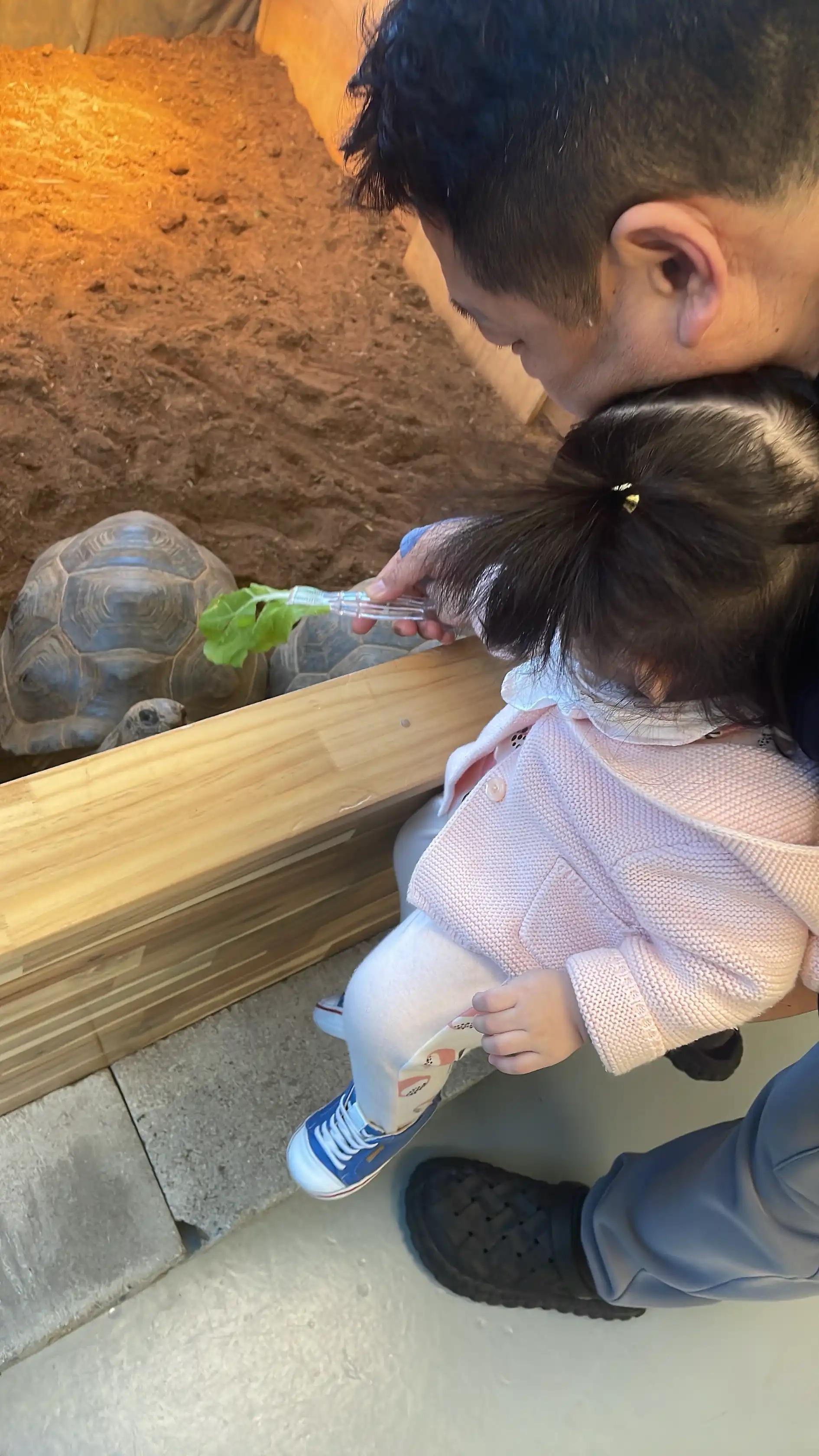 크루톡 이미지 5