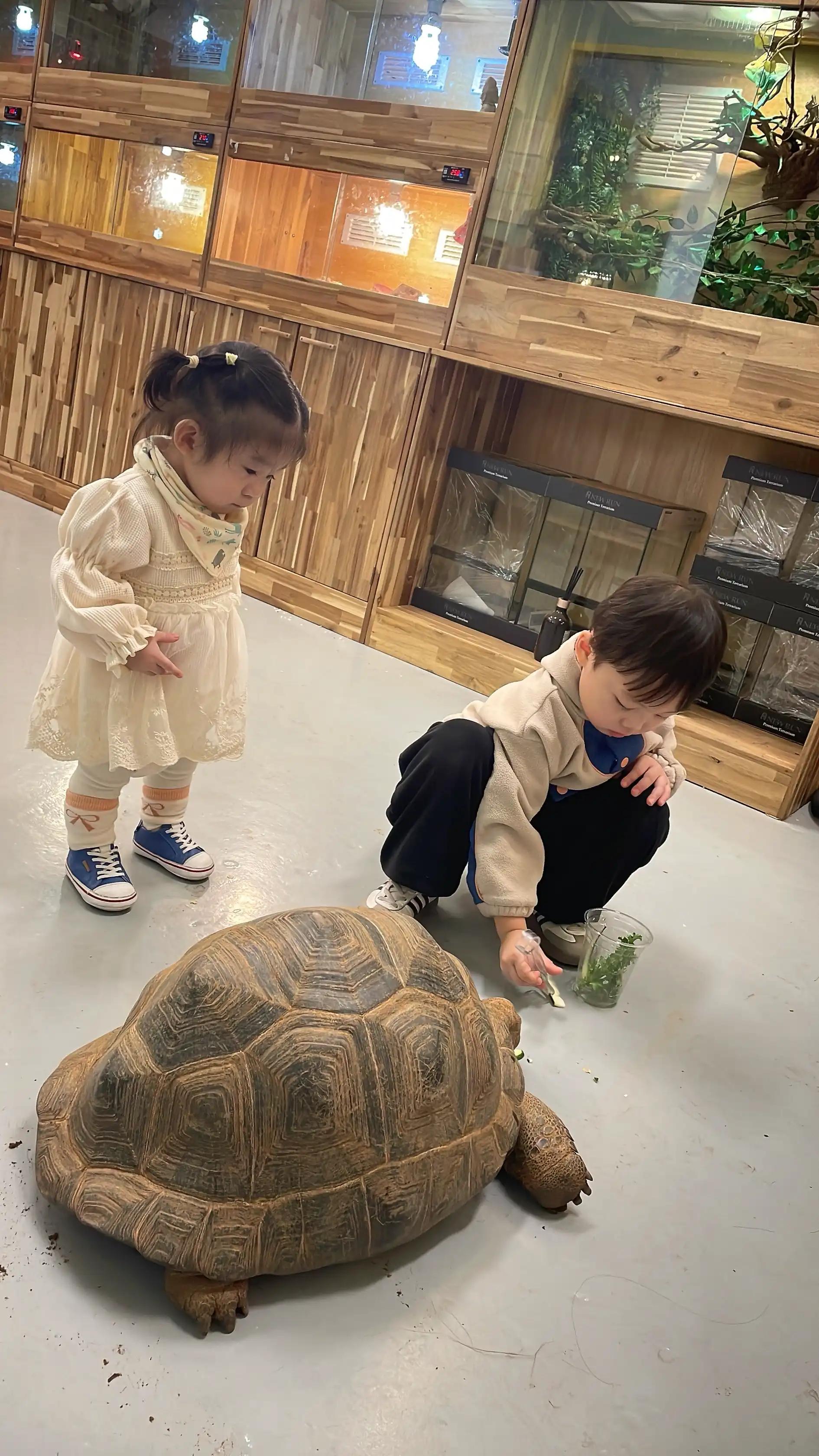 크루톡 이미지 6