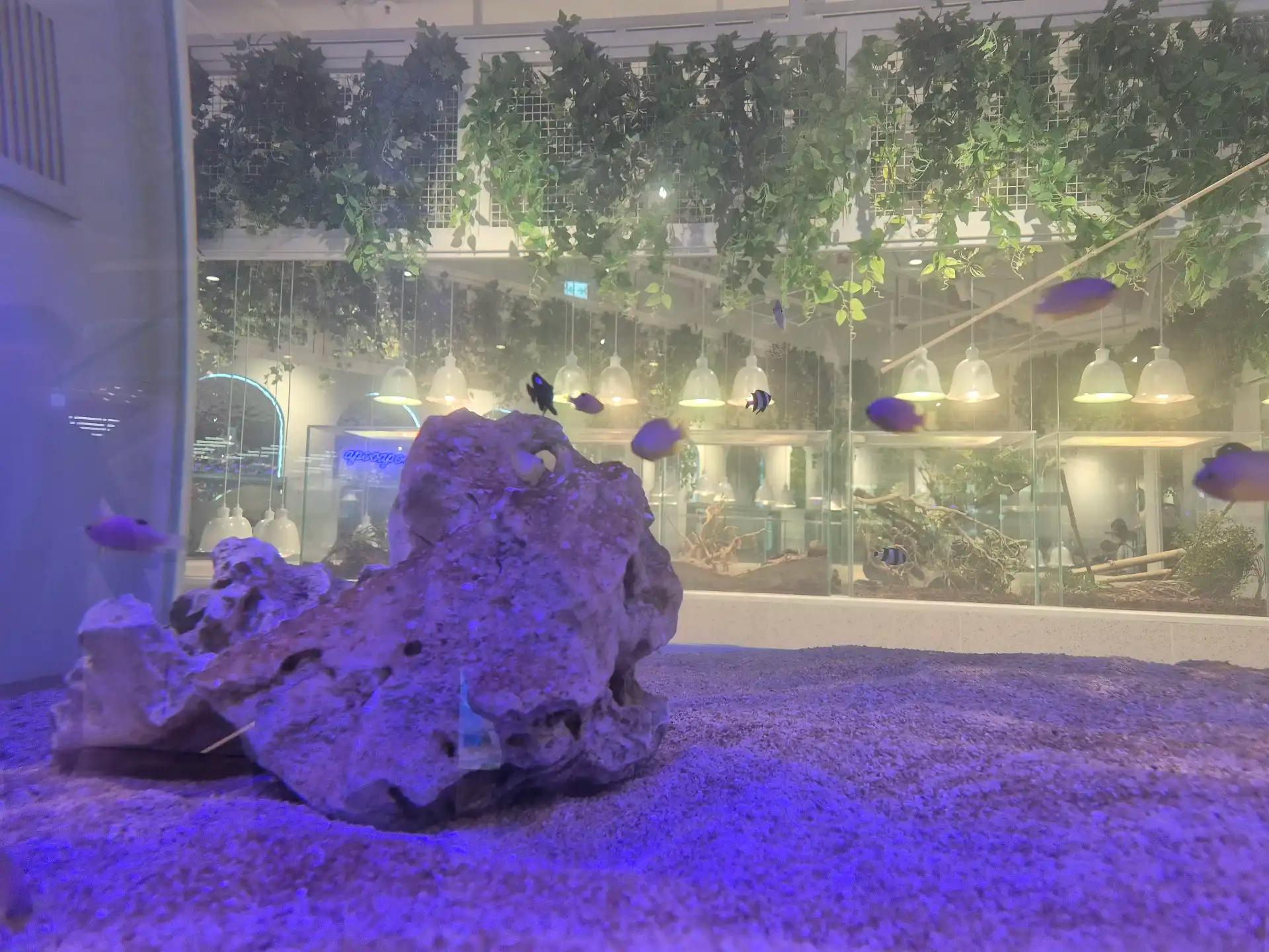 크루톡 이미지 3