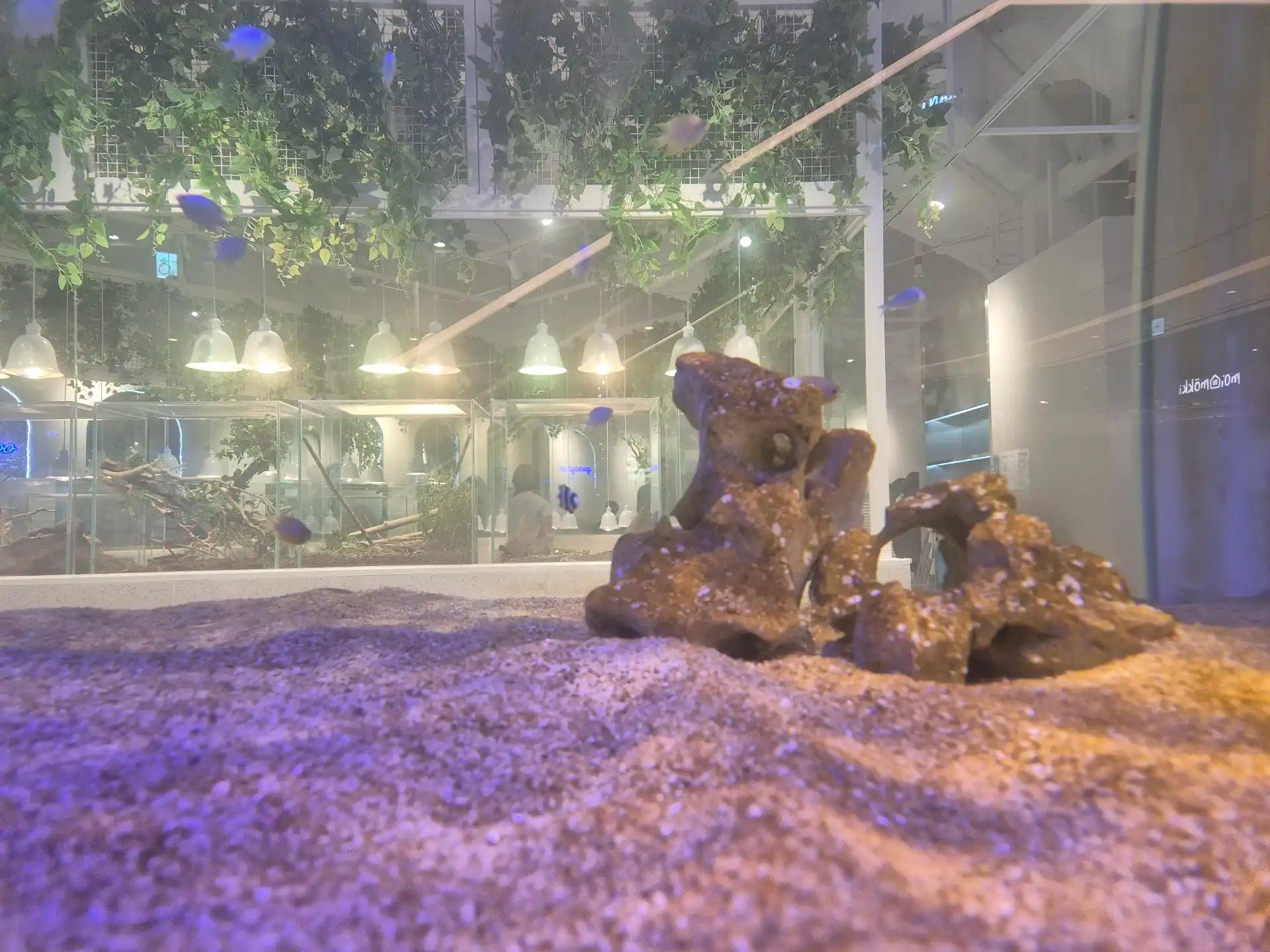 크루톡 이미지 4