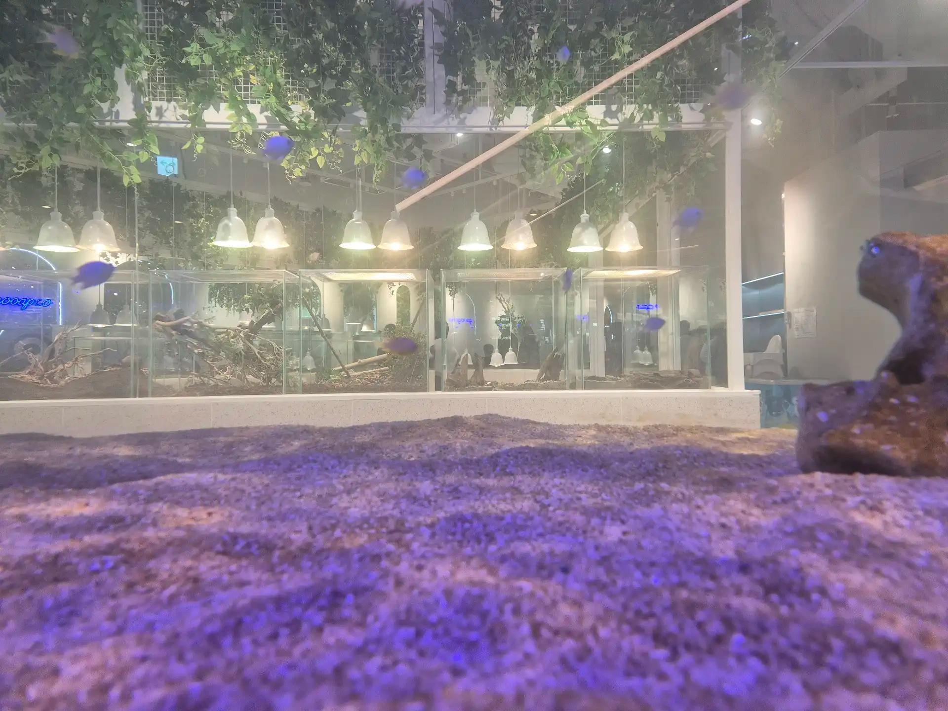 크루톡 이미지 5