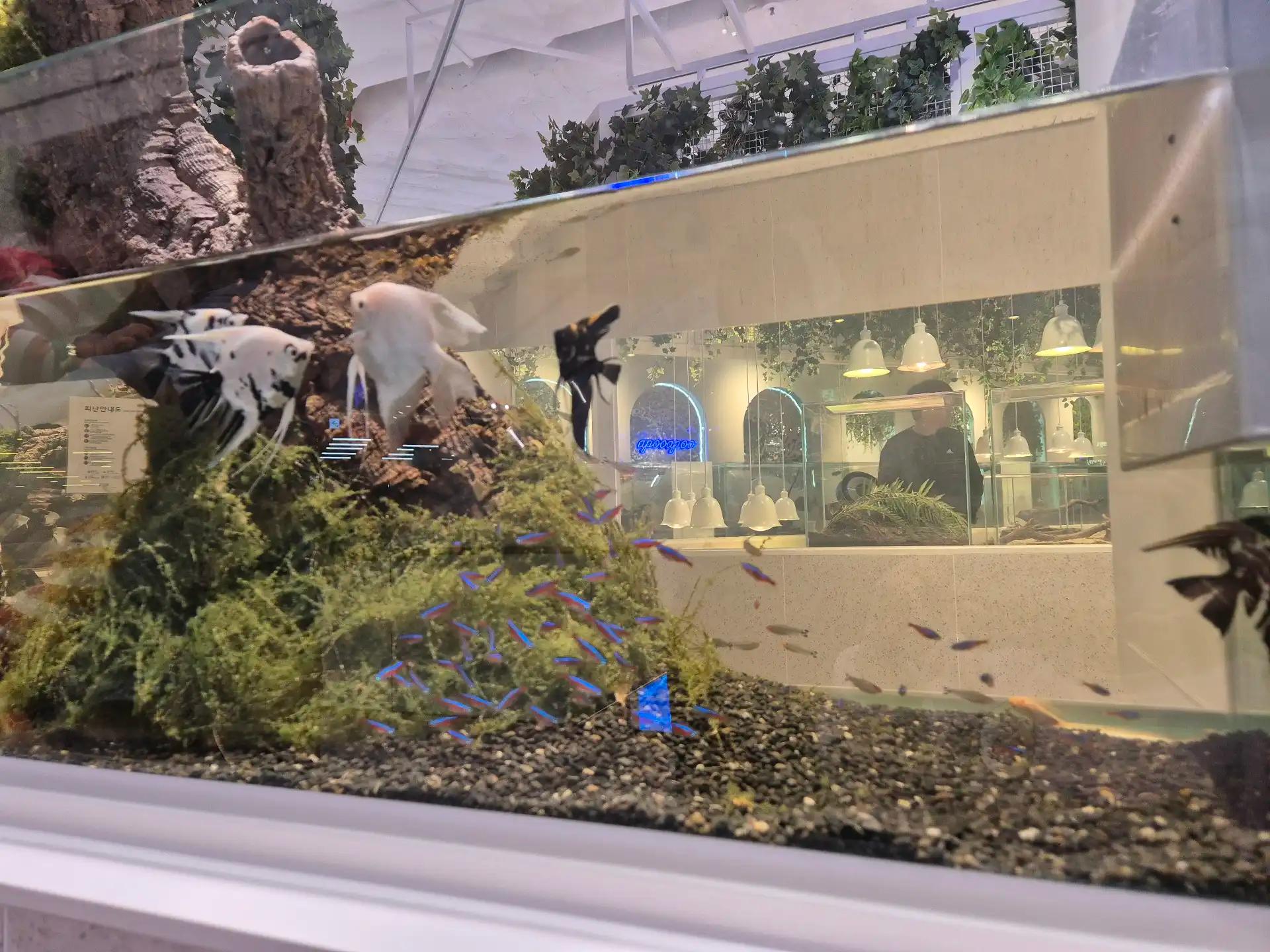 크루톡 이미지 6