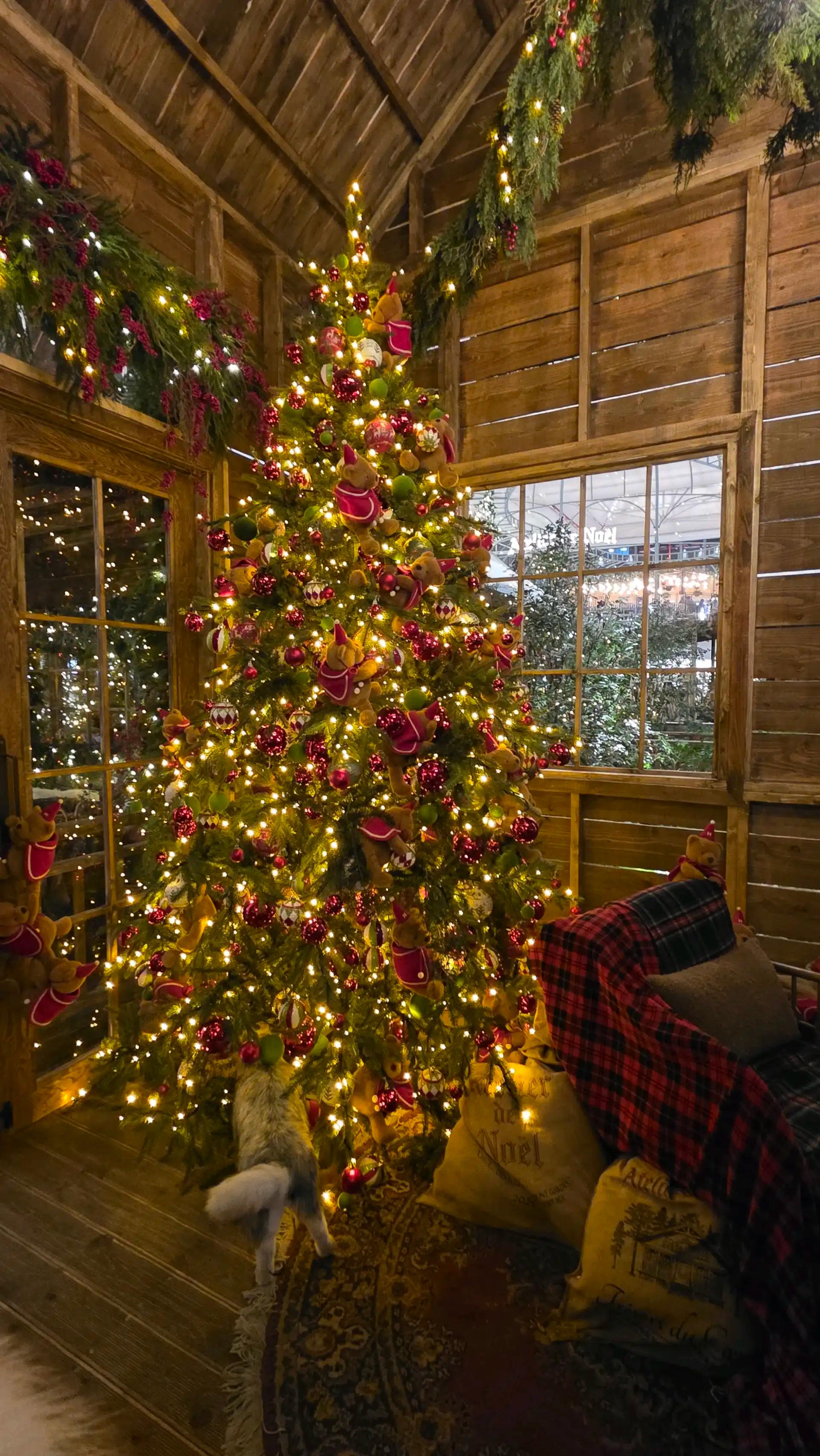 크루톡 이미지 2