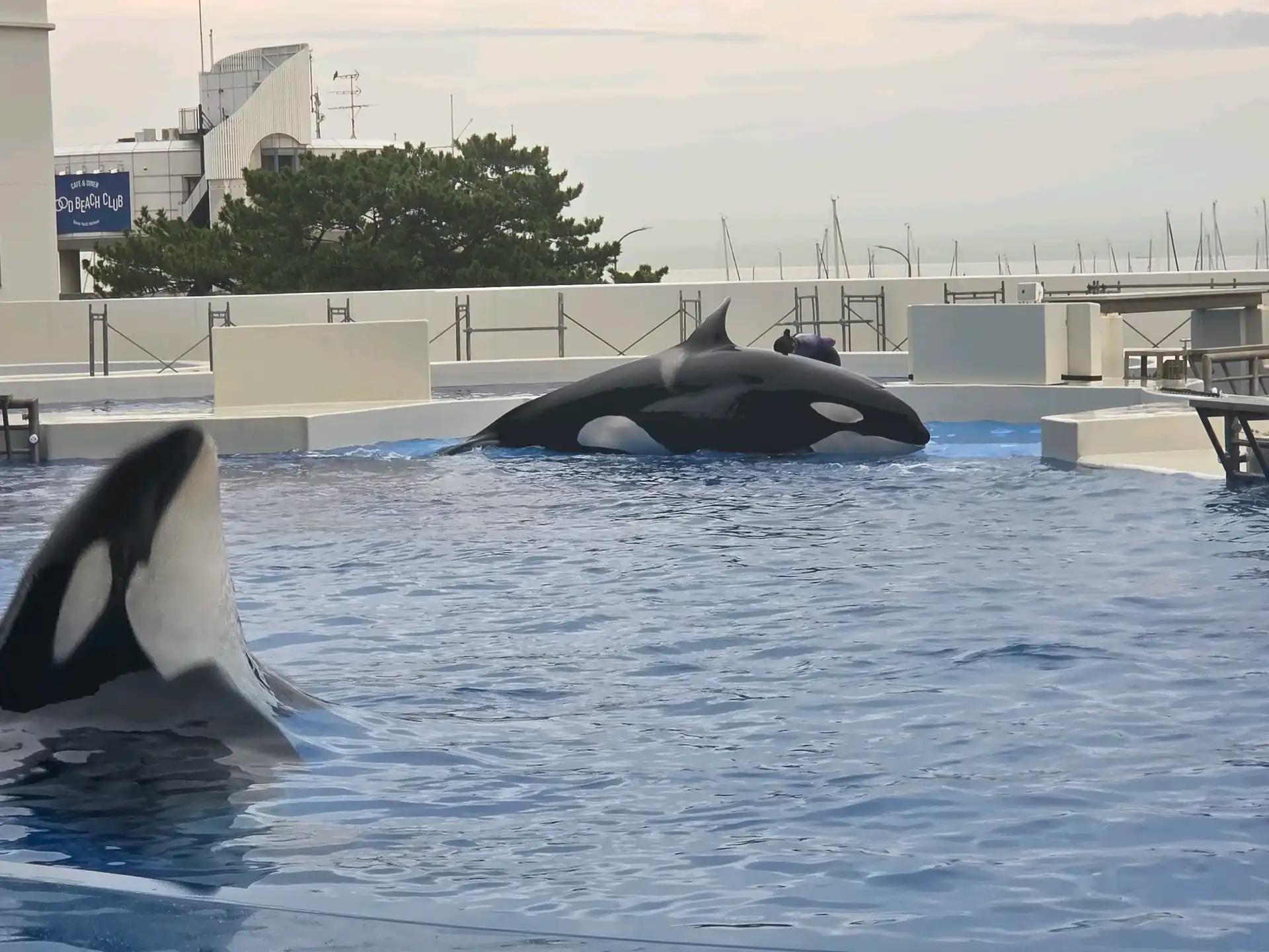 크루톡 이미지 2