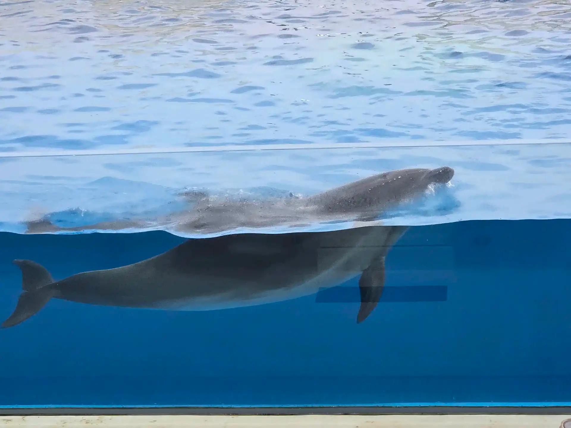 크루톡 이미지 3