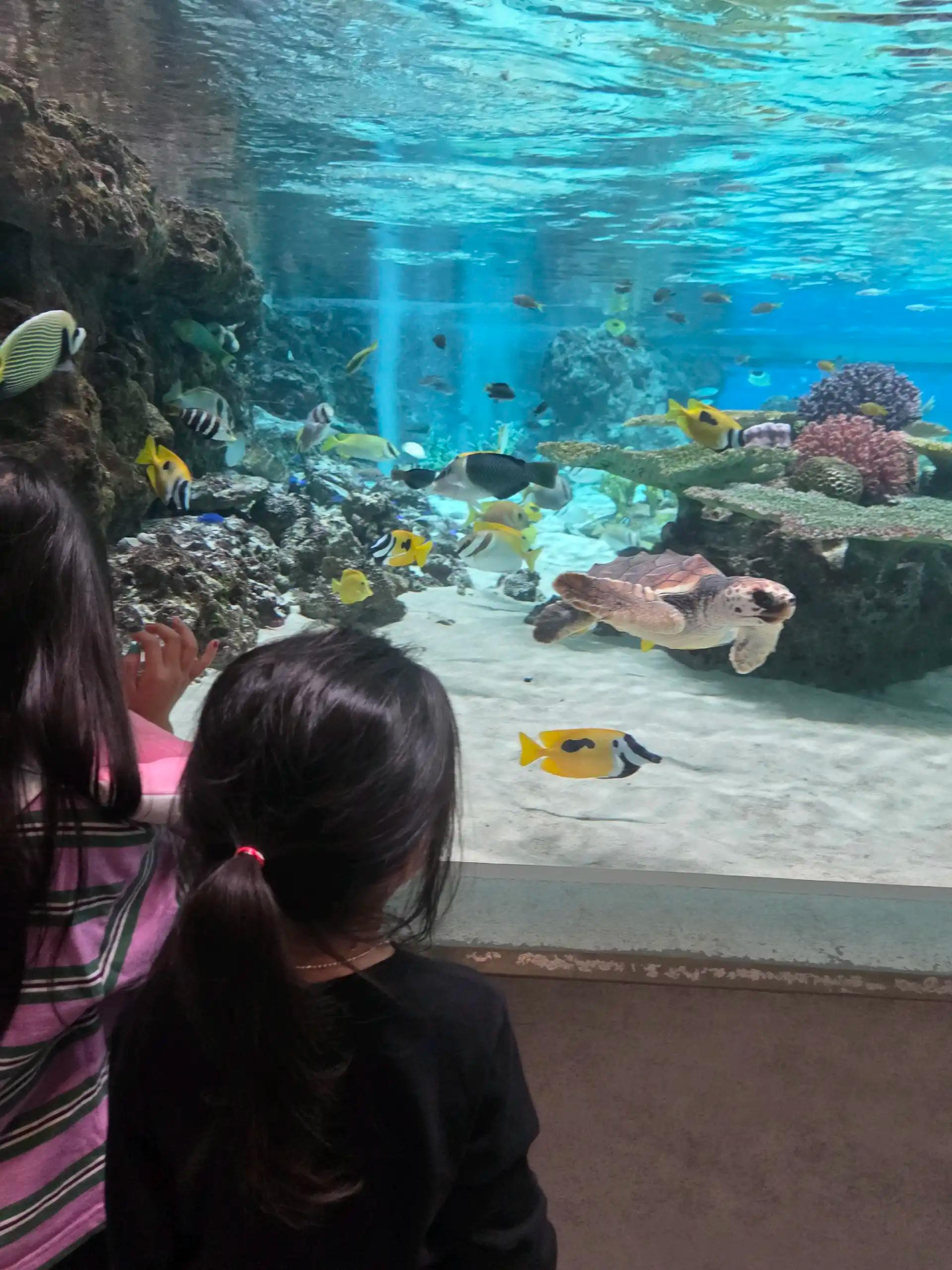 크루톡 이미지 5