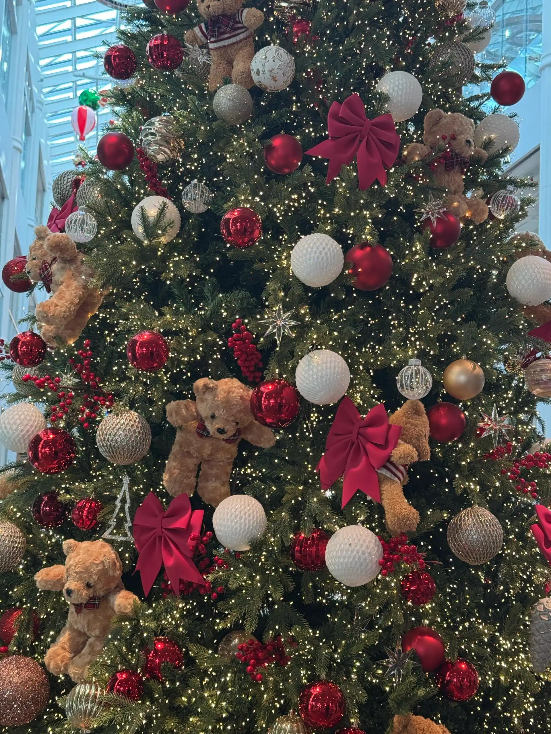 크루톡 이미지 2