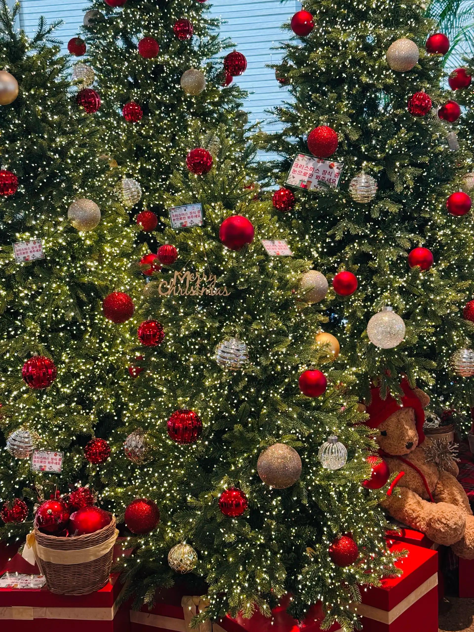 크루톡 이미지 3