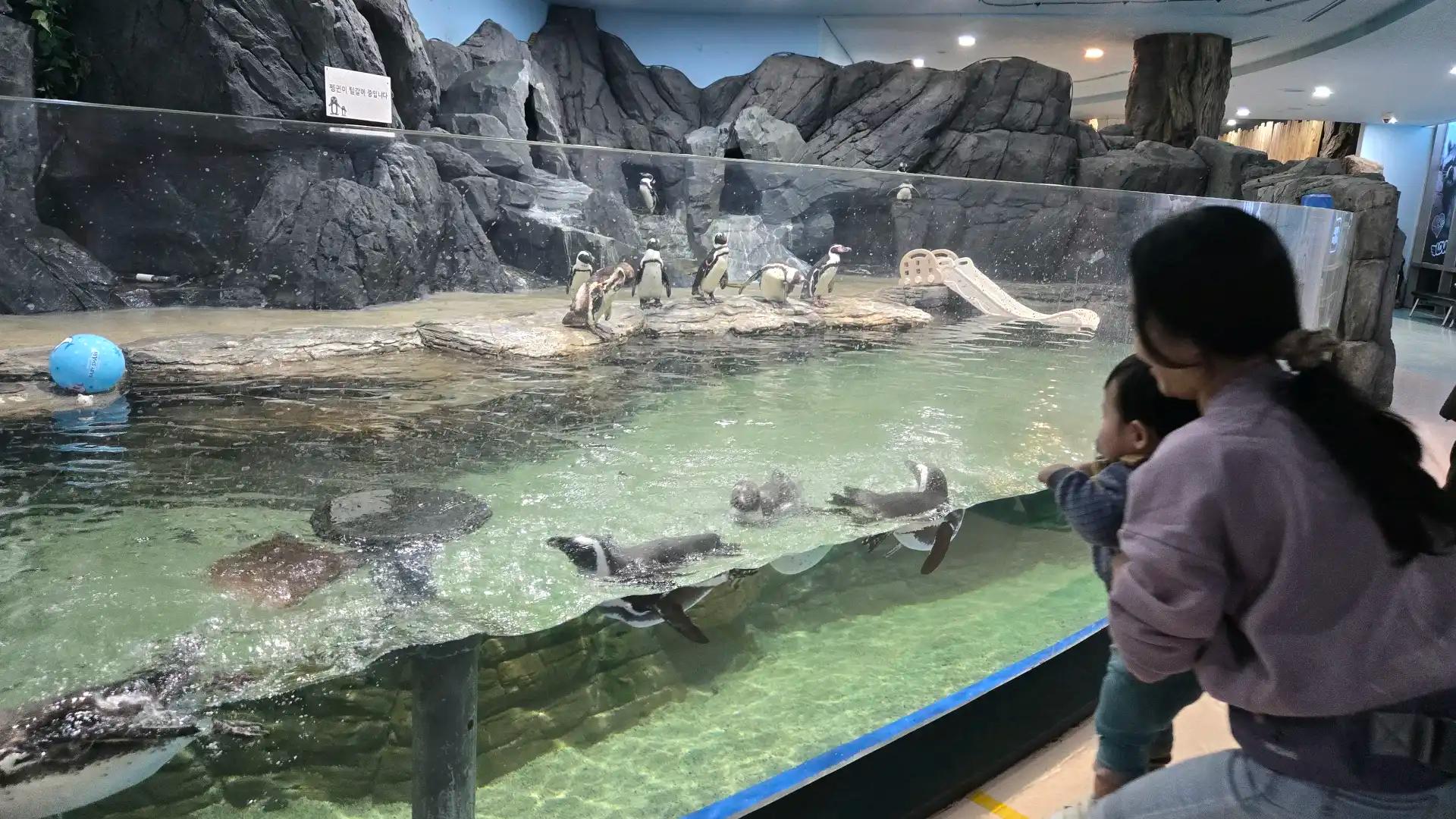 크루톡 이미지 2