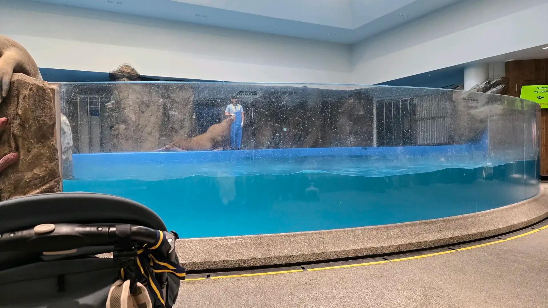 크루톡 이미지 3