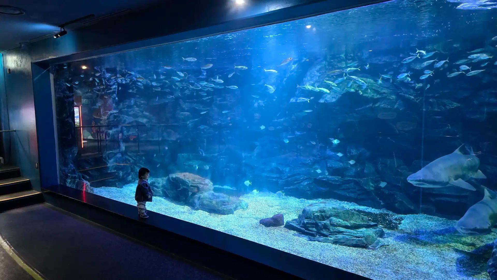 크루톡 이미지 4