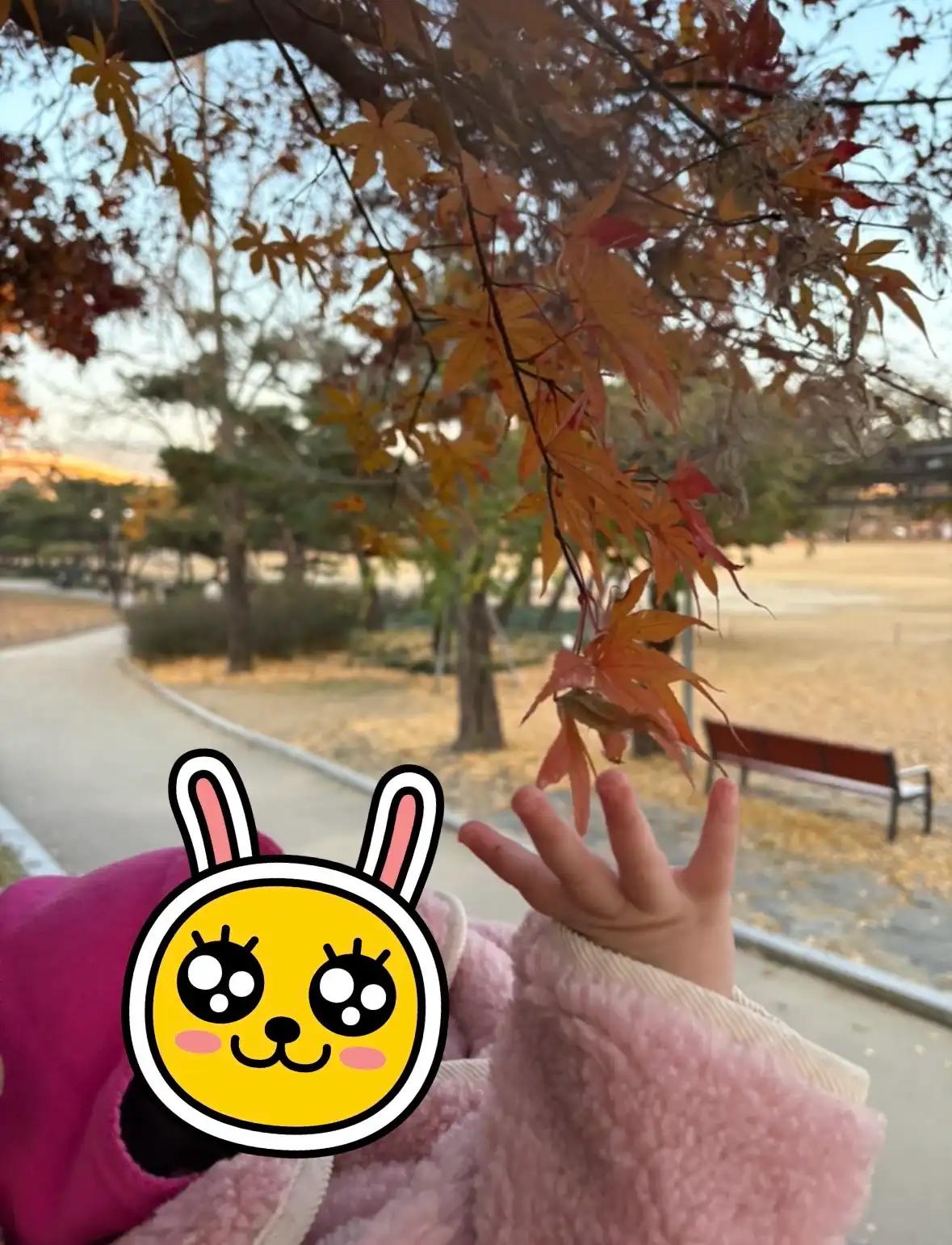 크루톡 이미지 1