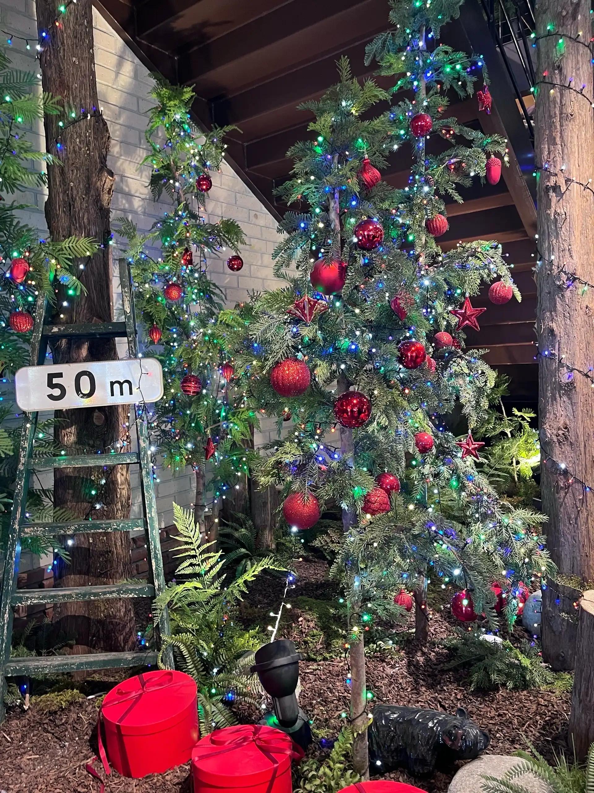 크루톡 이미지 2