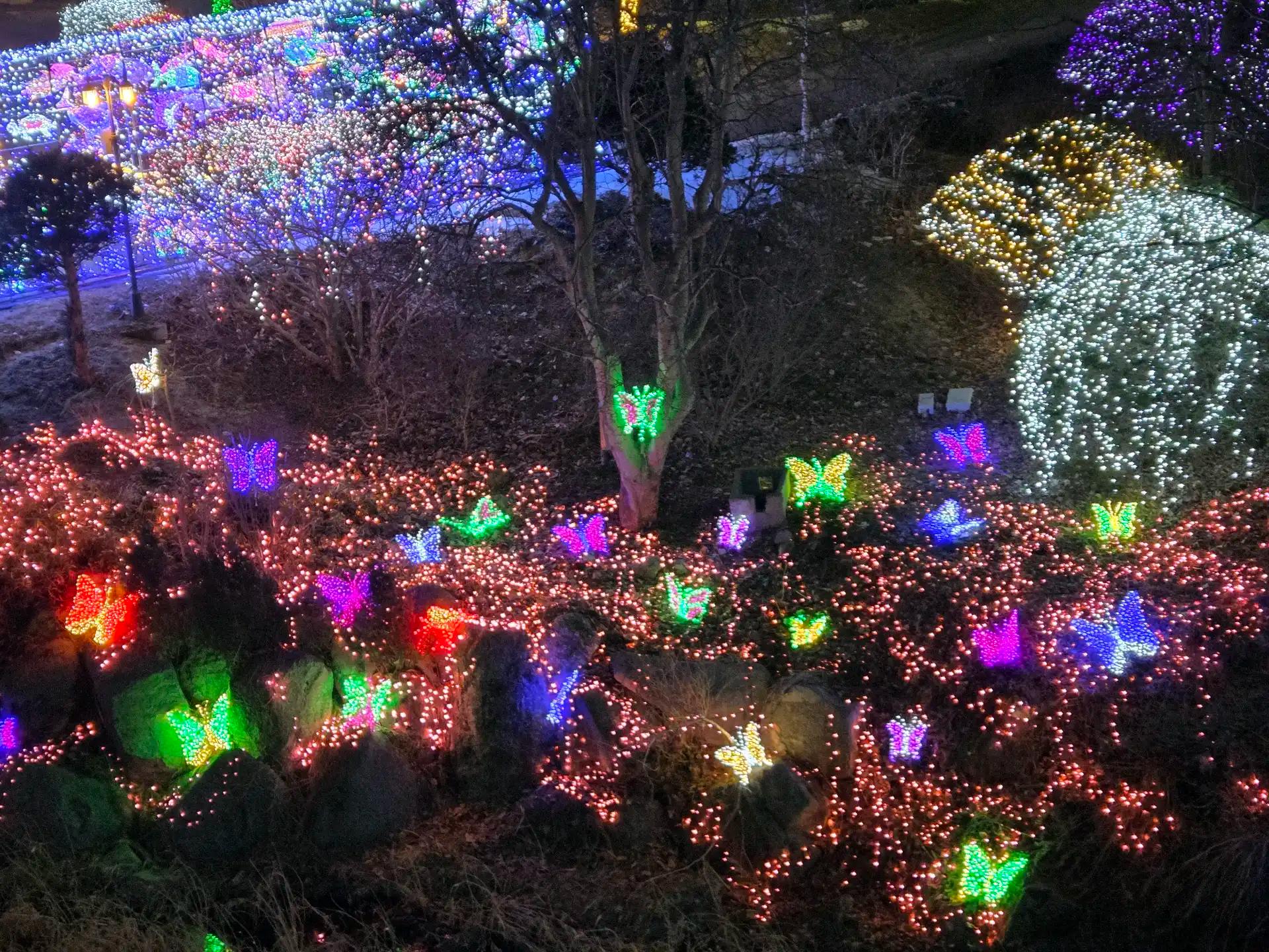 크루톡 이미지 3