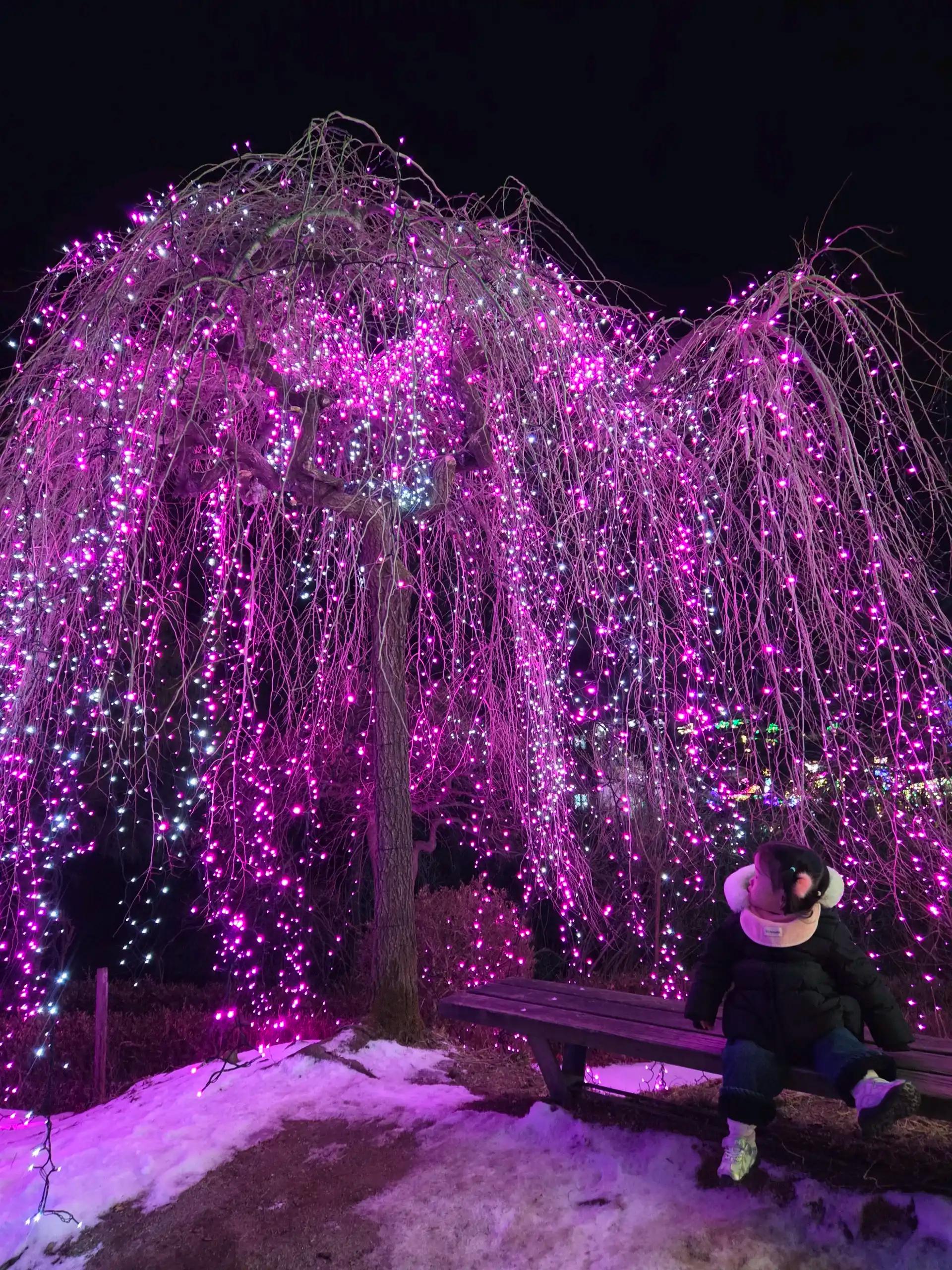 크루톡 이미지 4