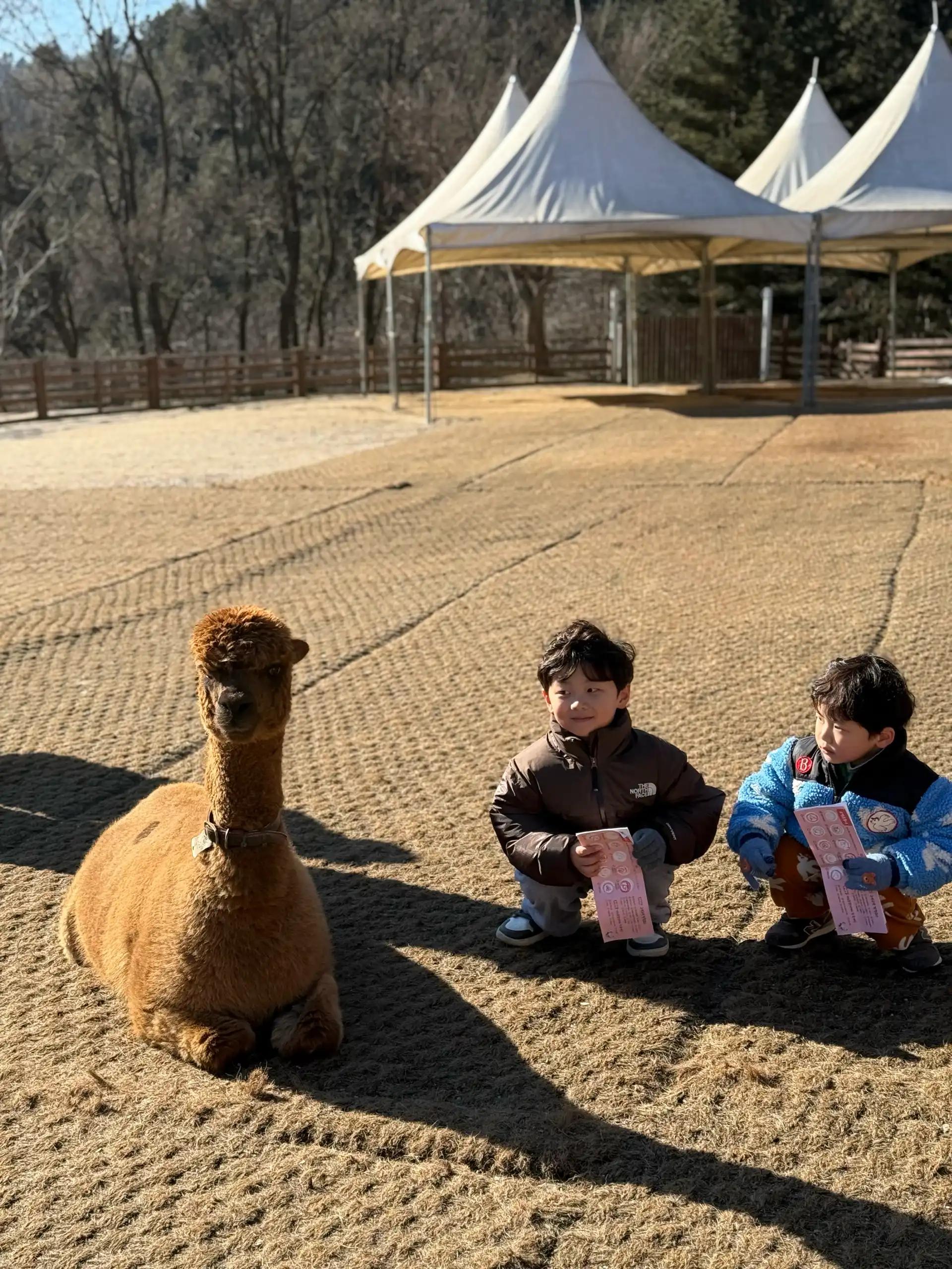 크루톡 이미지 3