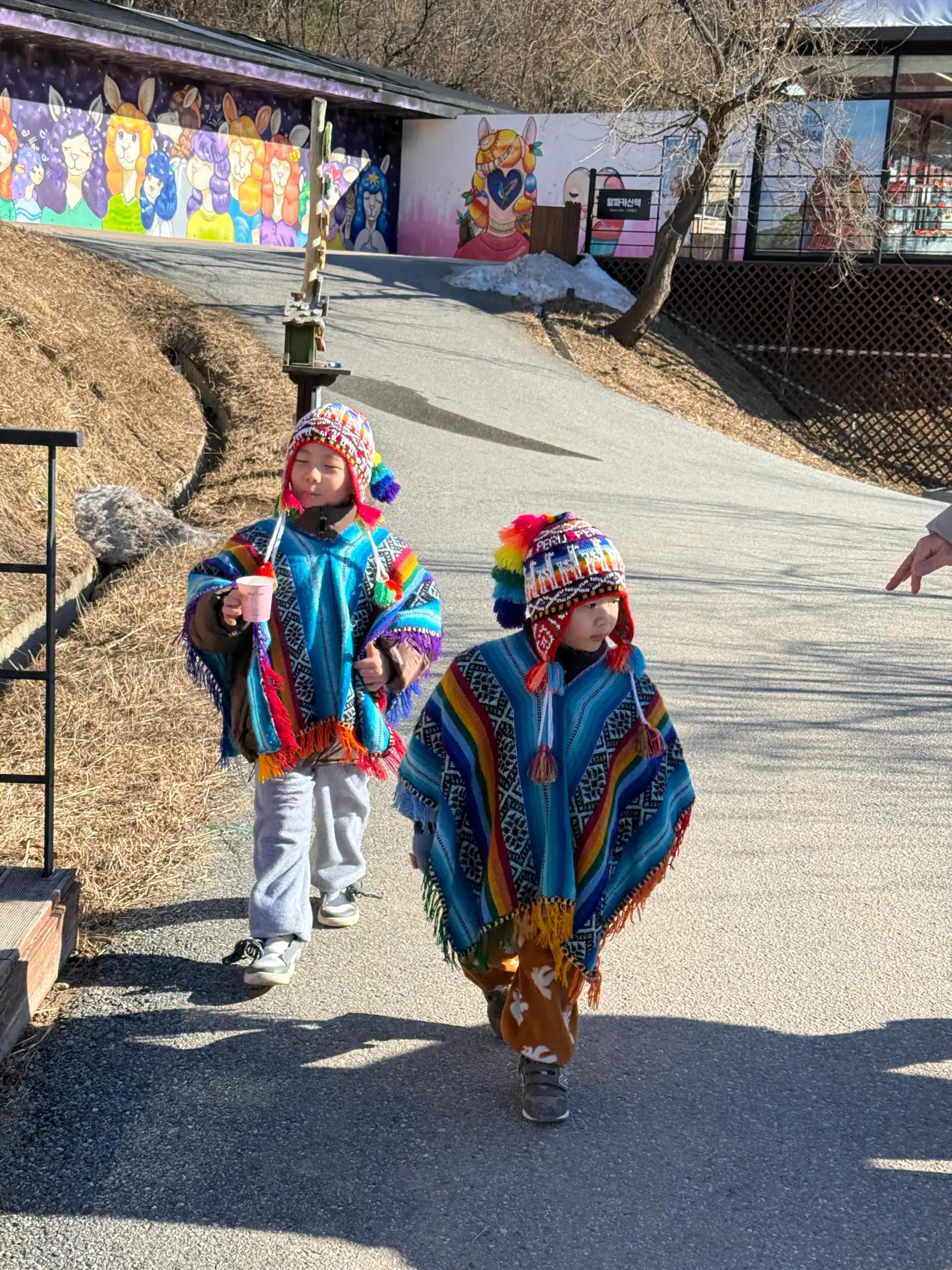 크루톡 이미지 6