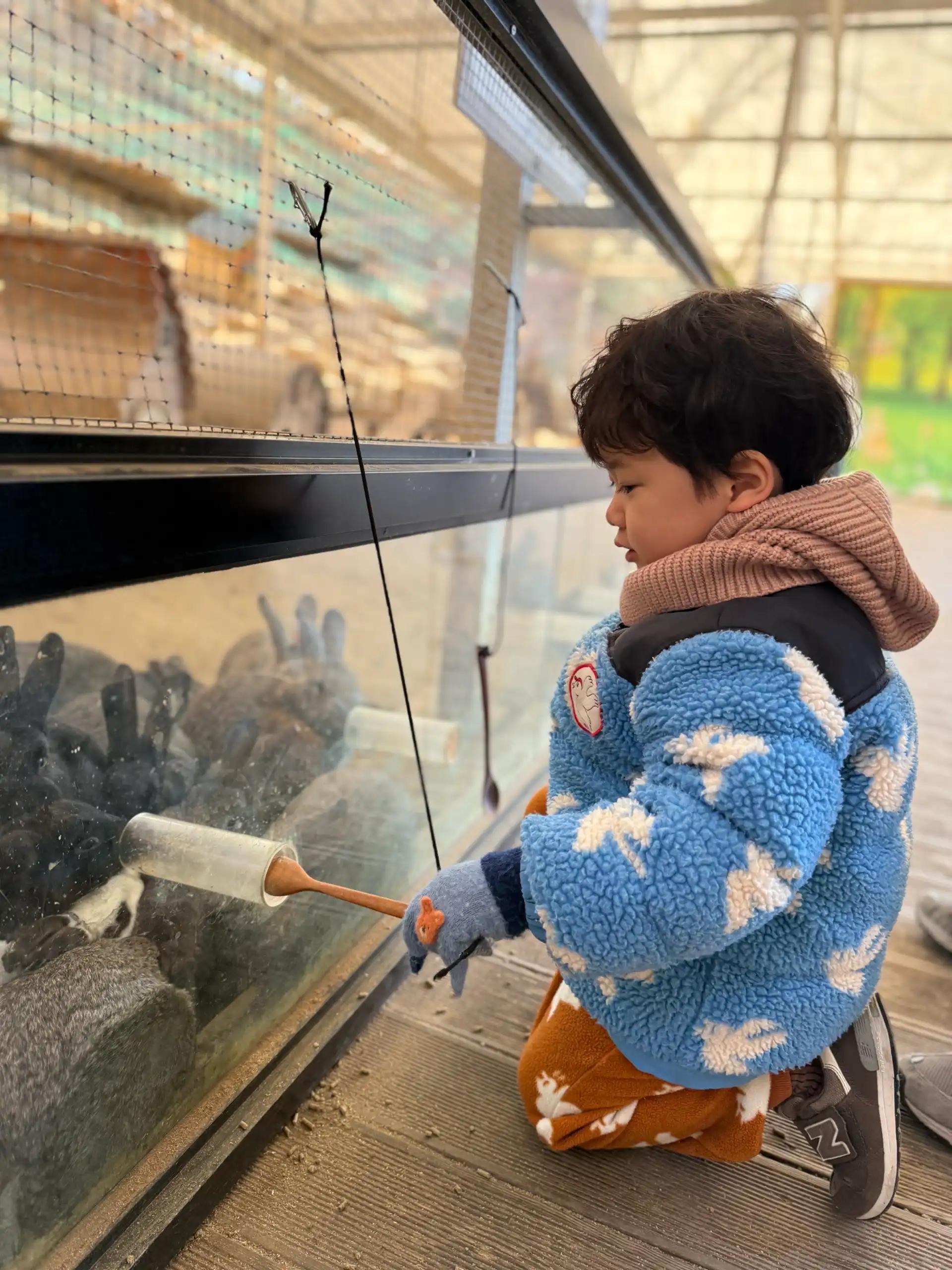 크루톡 이미지 7