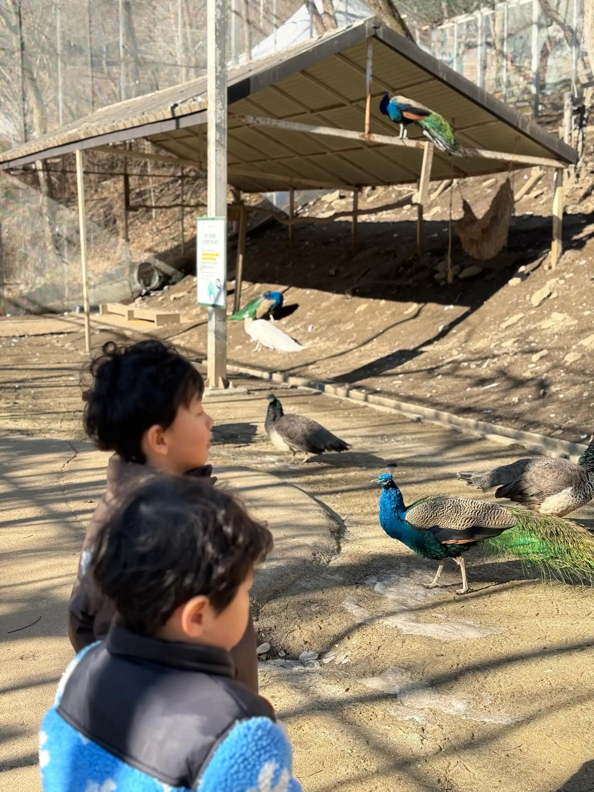 크루톡 이미지 9