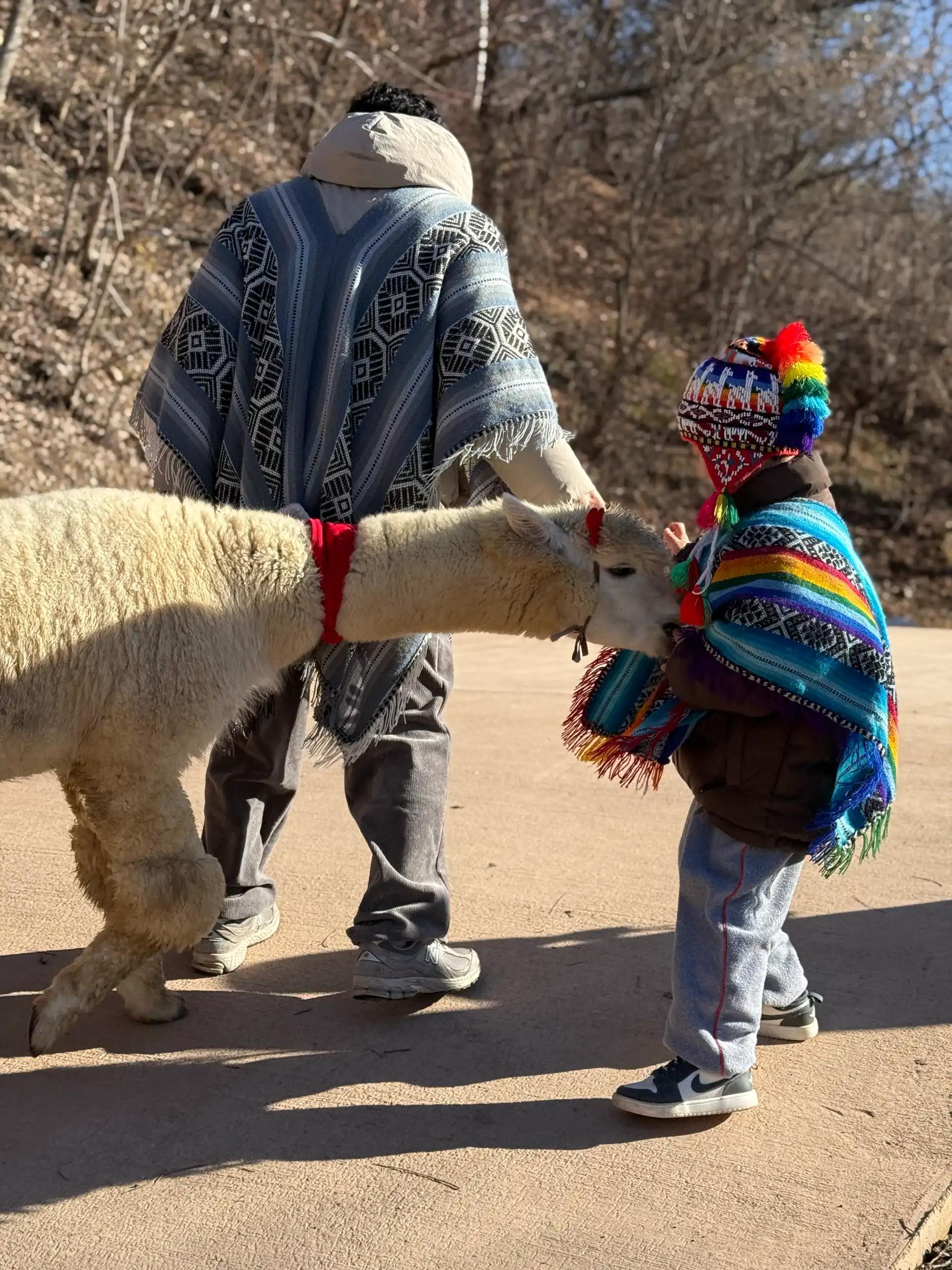 크루톡 이미지 13