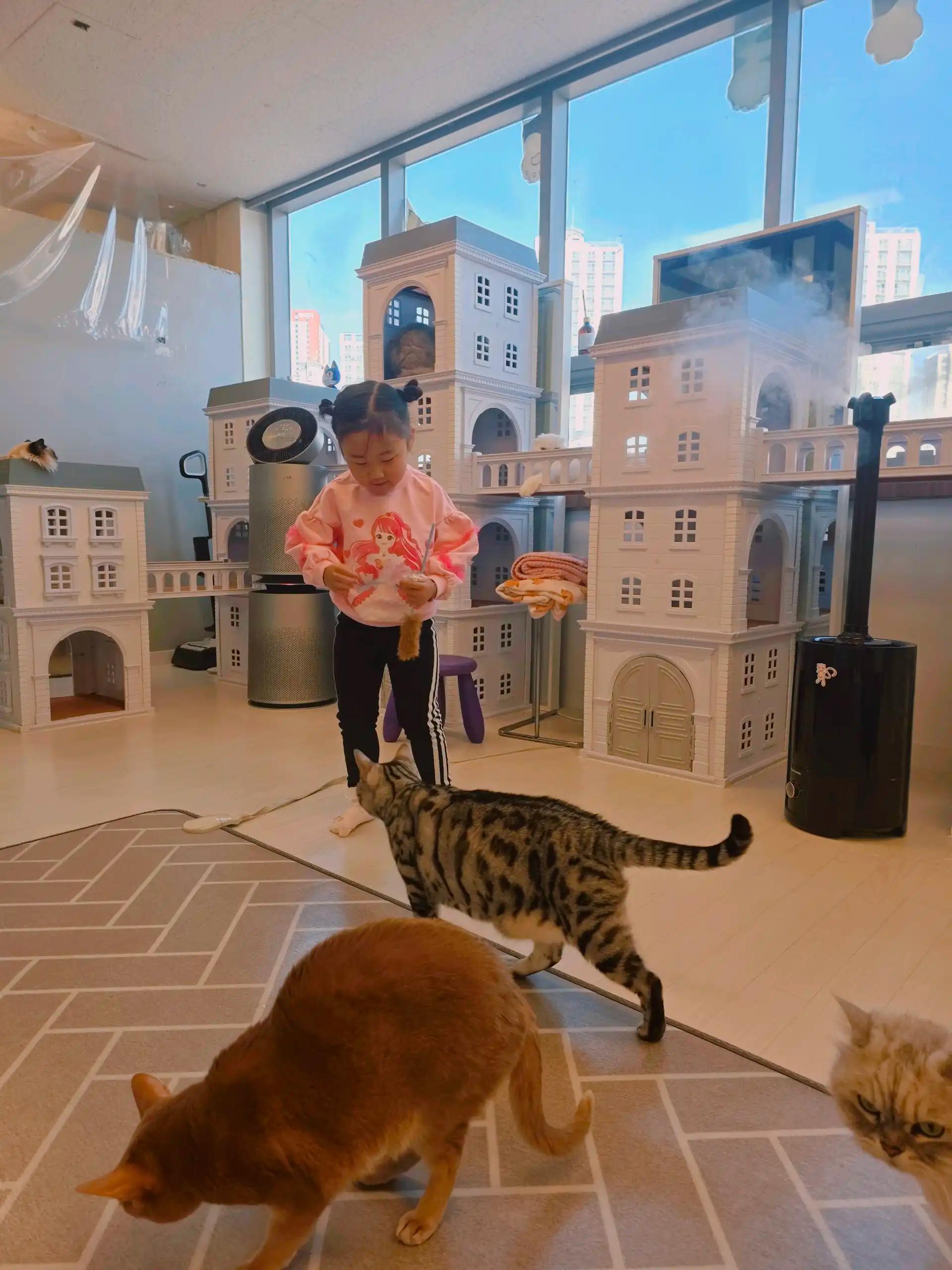 크루톡 이미지 8