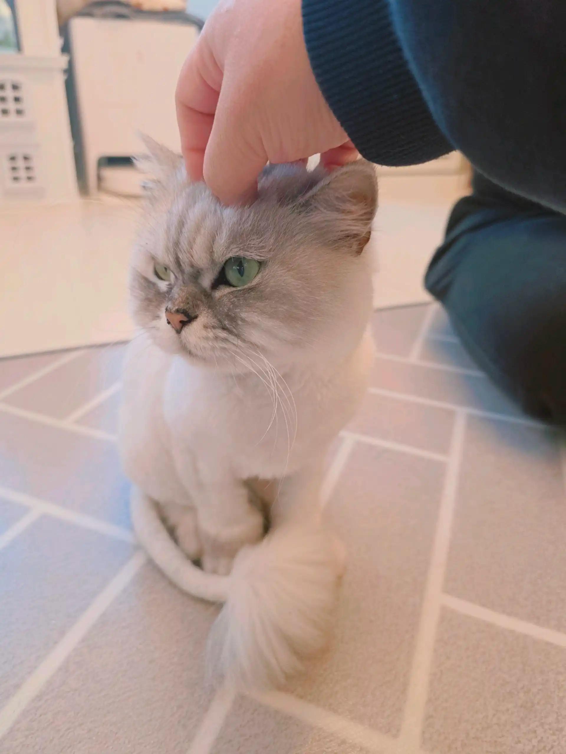 크루톡 이미지 9