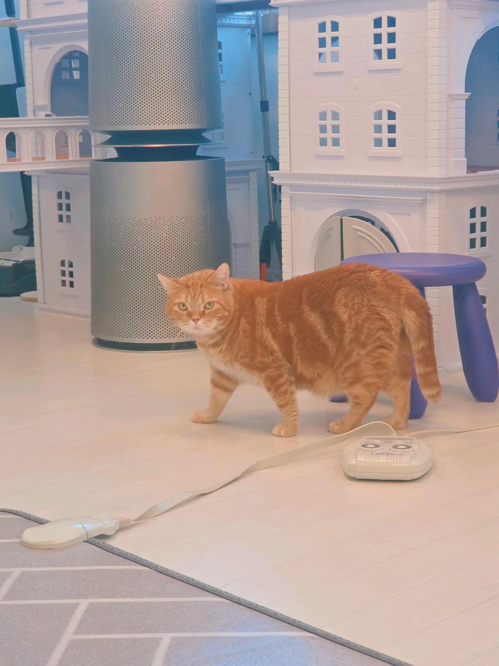 크루톡 이미지 10