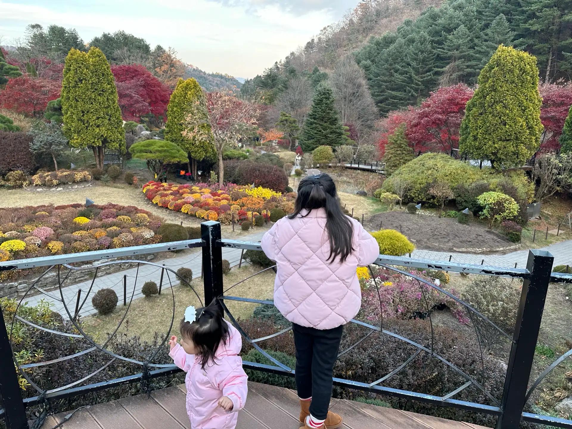 크루톡 이미지 1