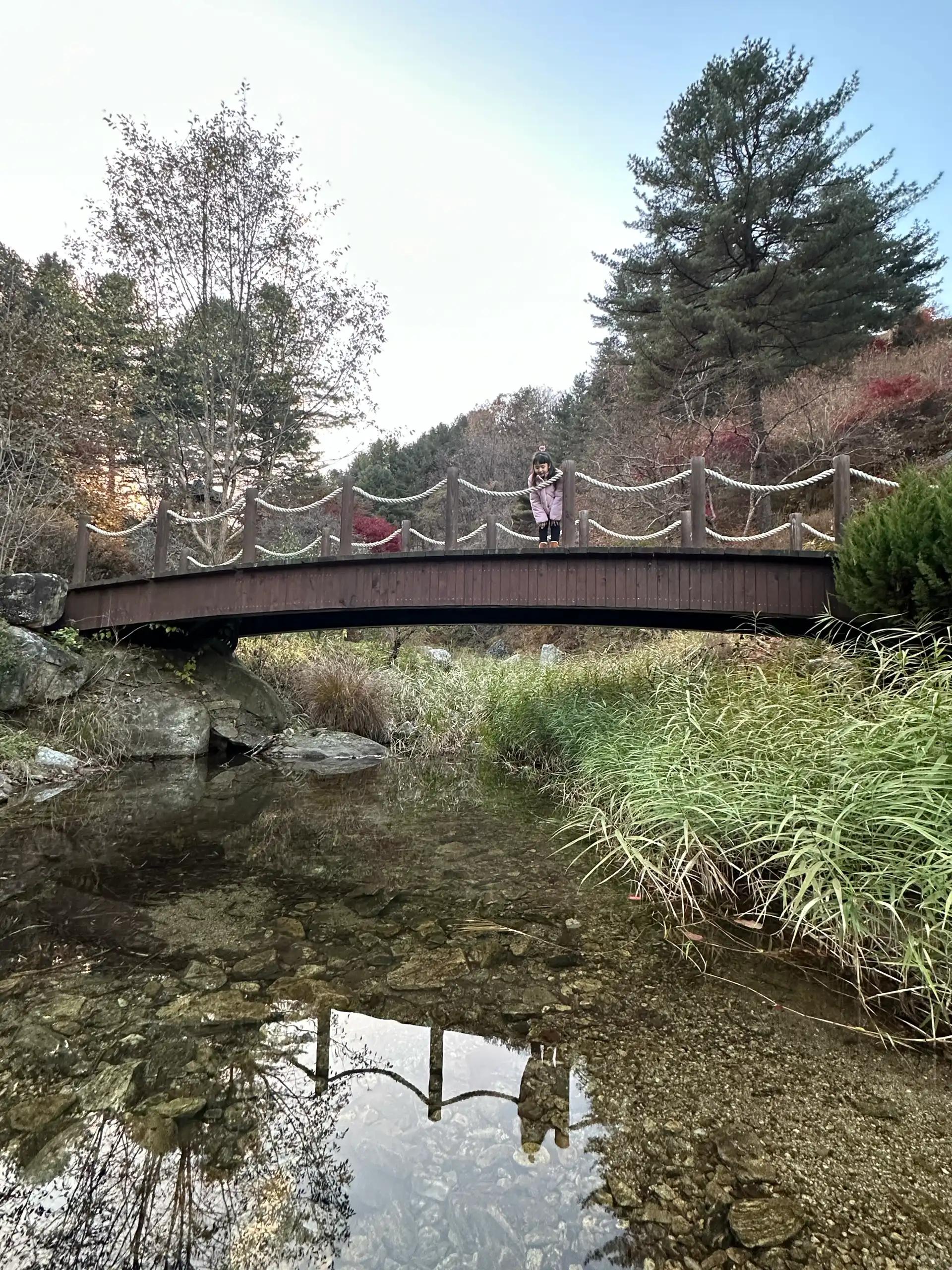 크루톡 이미지 2